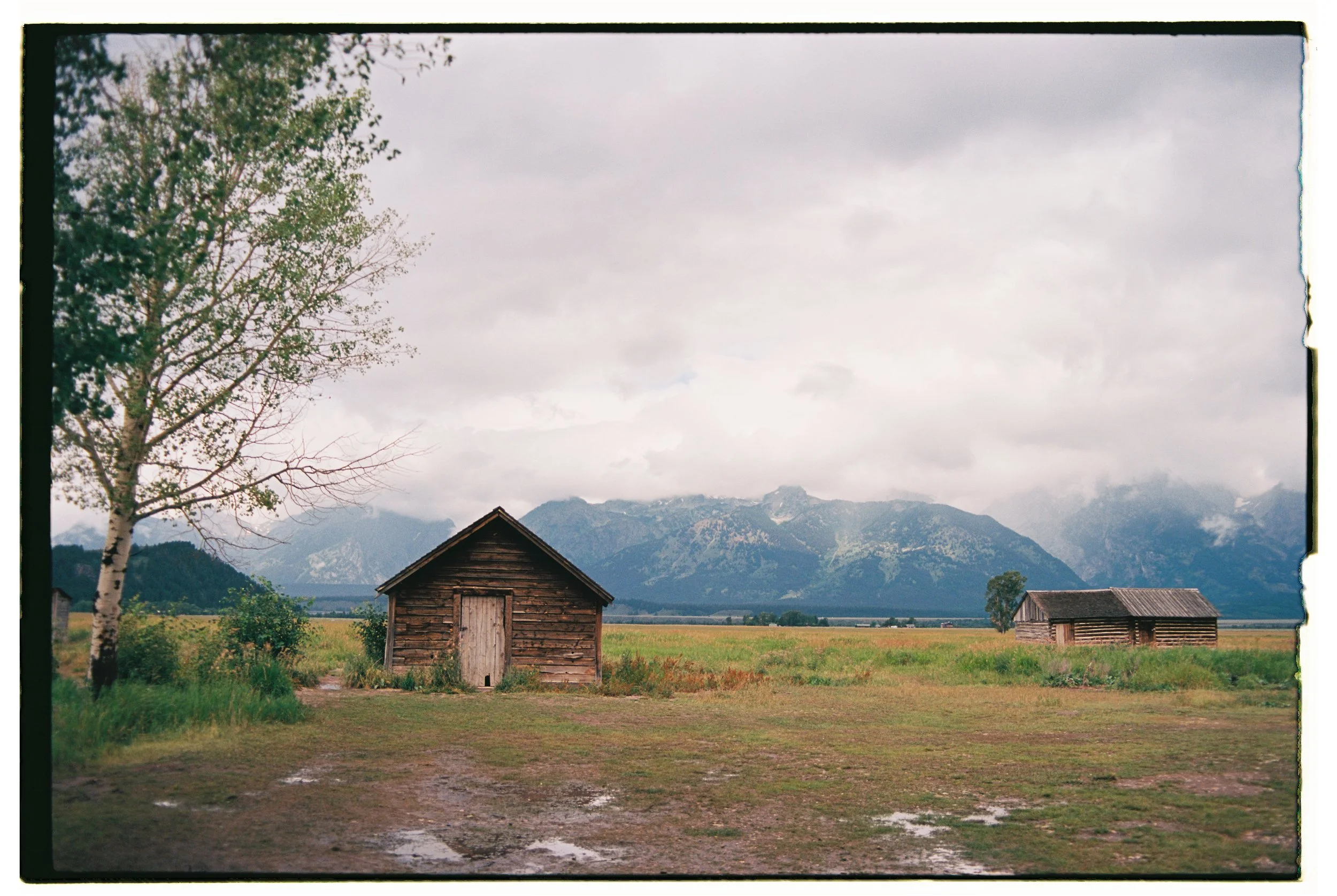 Utah + Wyoming 2023 - Ektar 10061.jpg