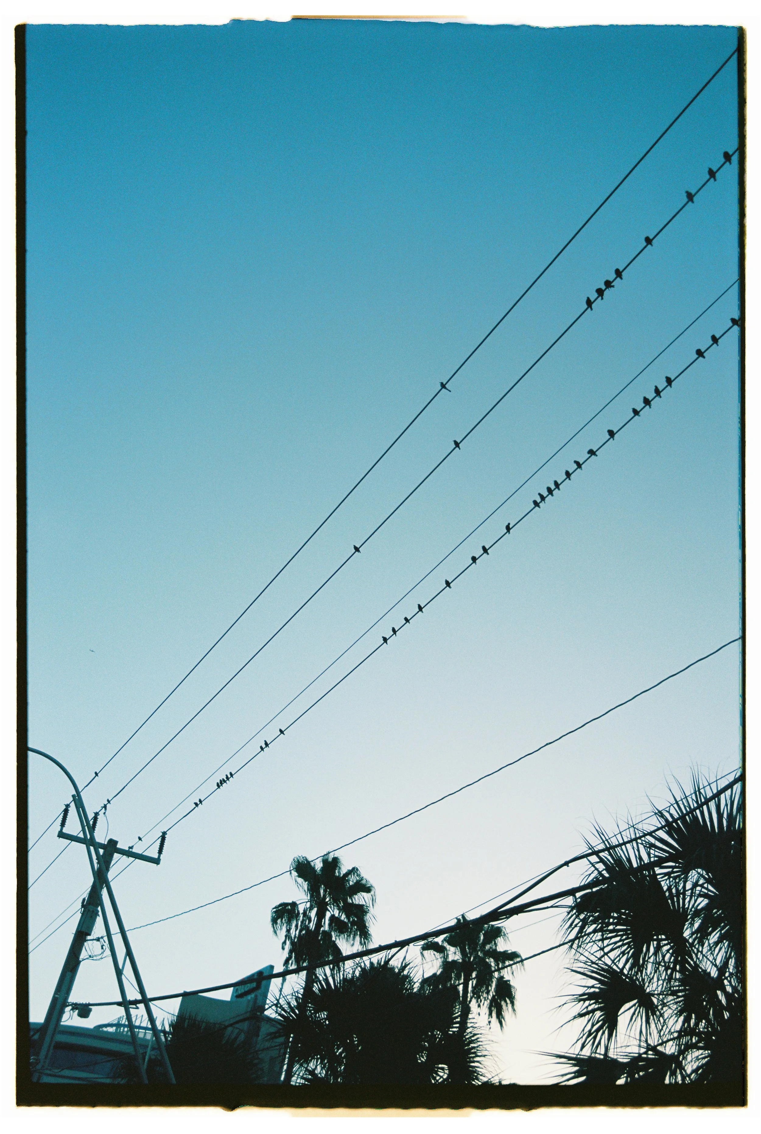 Beach Week 2024 - Ektar 100 28.jpg