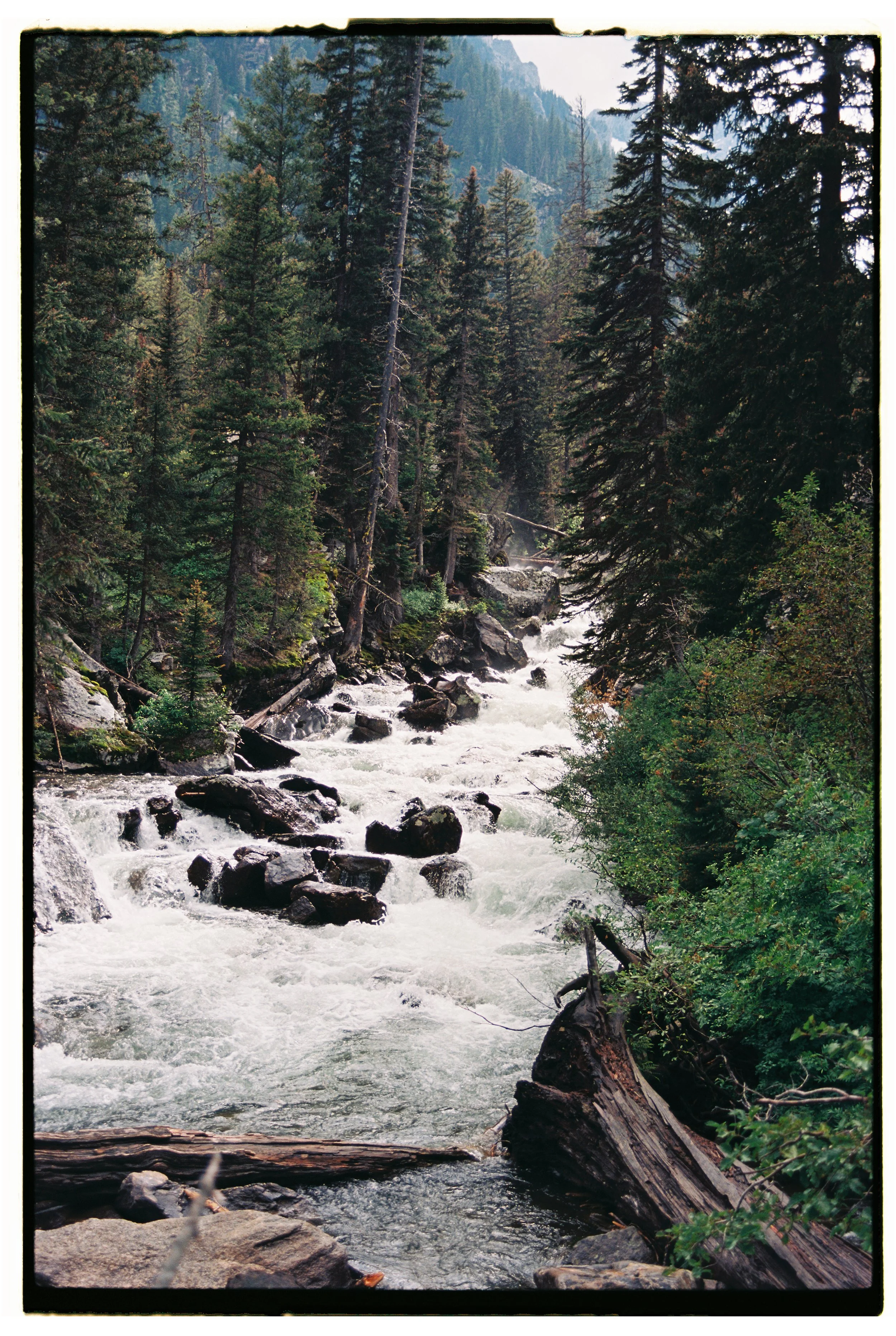 Utah + Wyoming 2023 - Ektar 10057.jpg