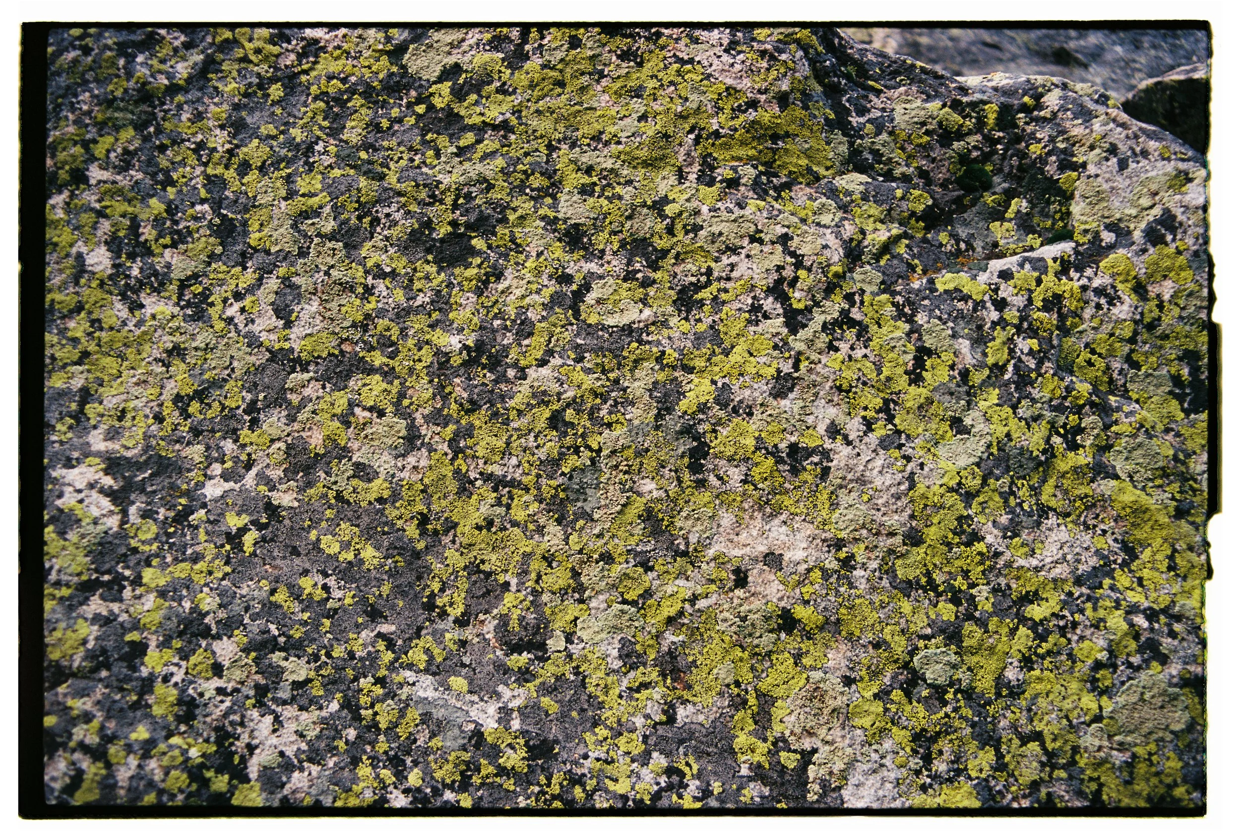 Utah + Wyoming 2023 - Ektar 10047.jpg