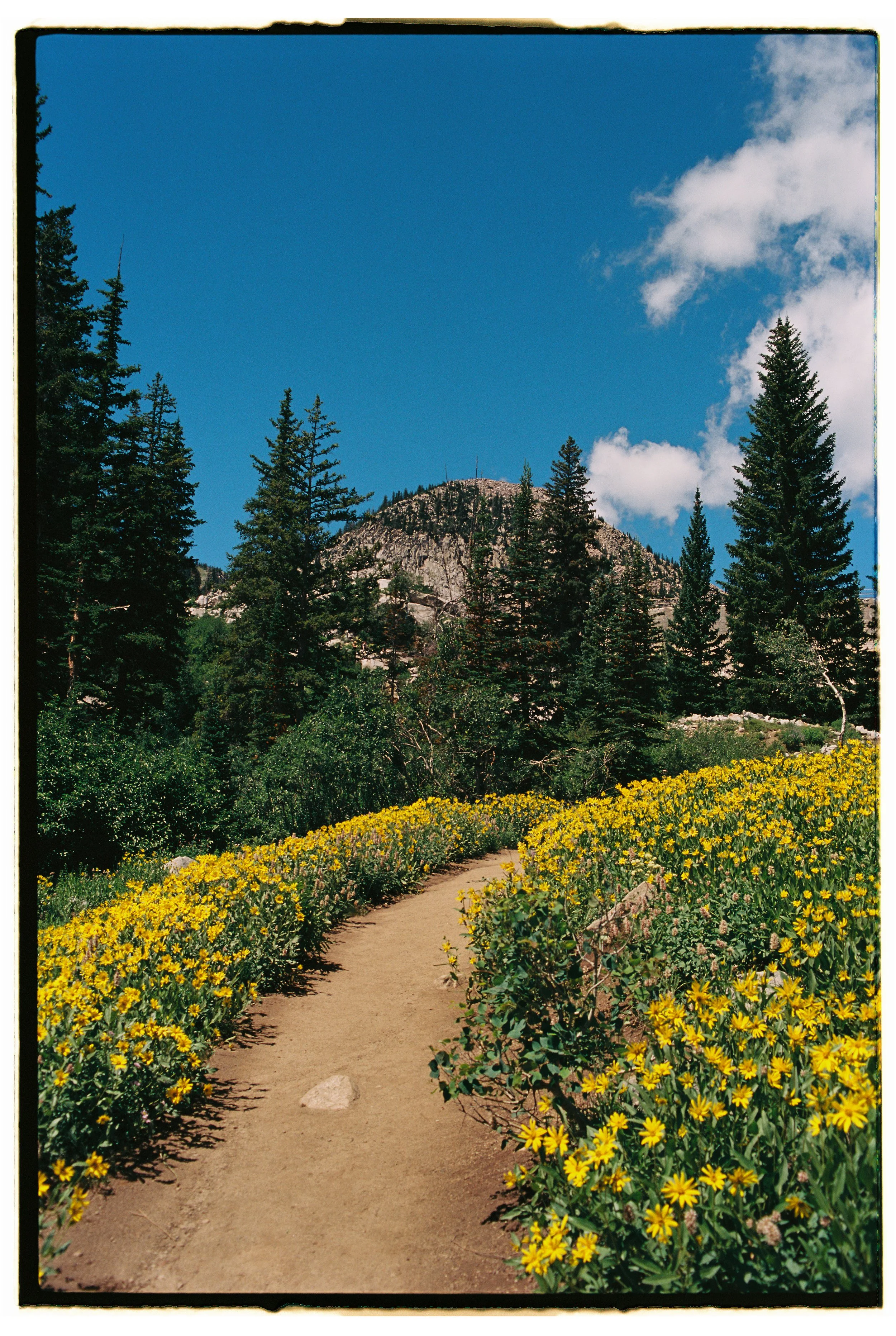 Utah + Wyoming 2023 - Ektar 10012.jpg