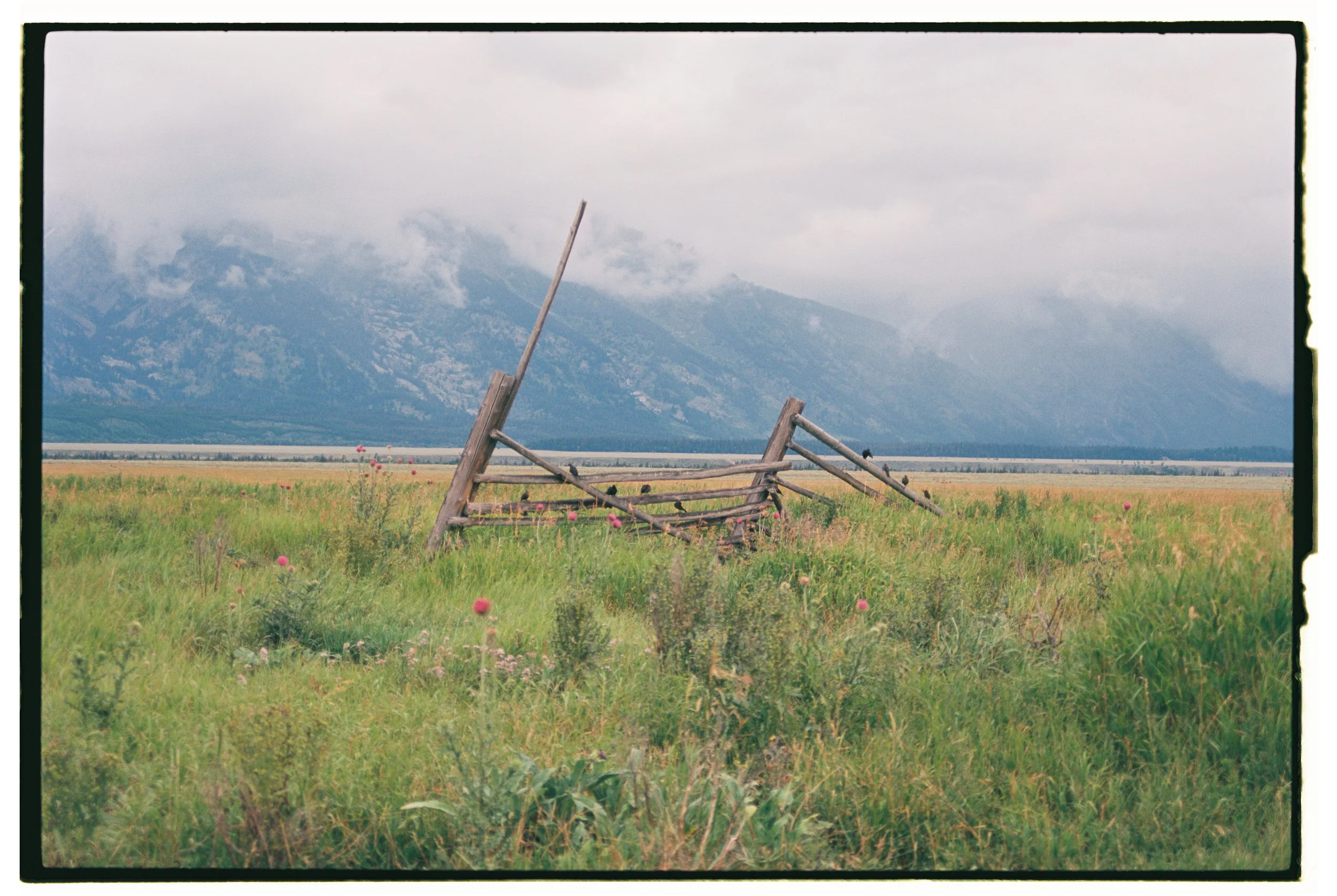 Utah + Wyoming 2023 - Ektar 10067.jpg