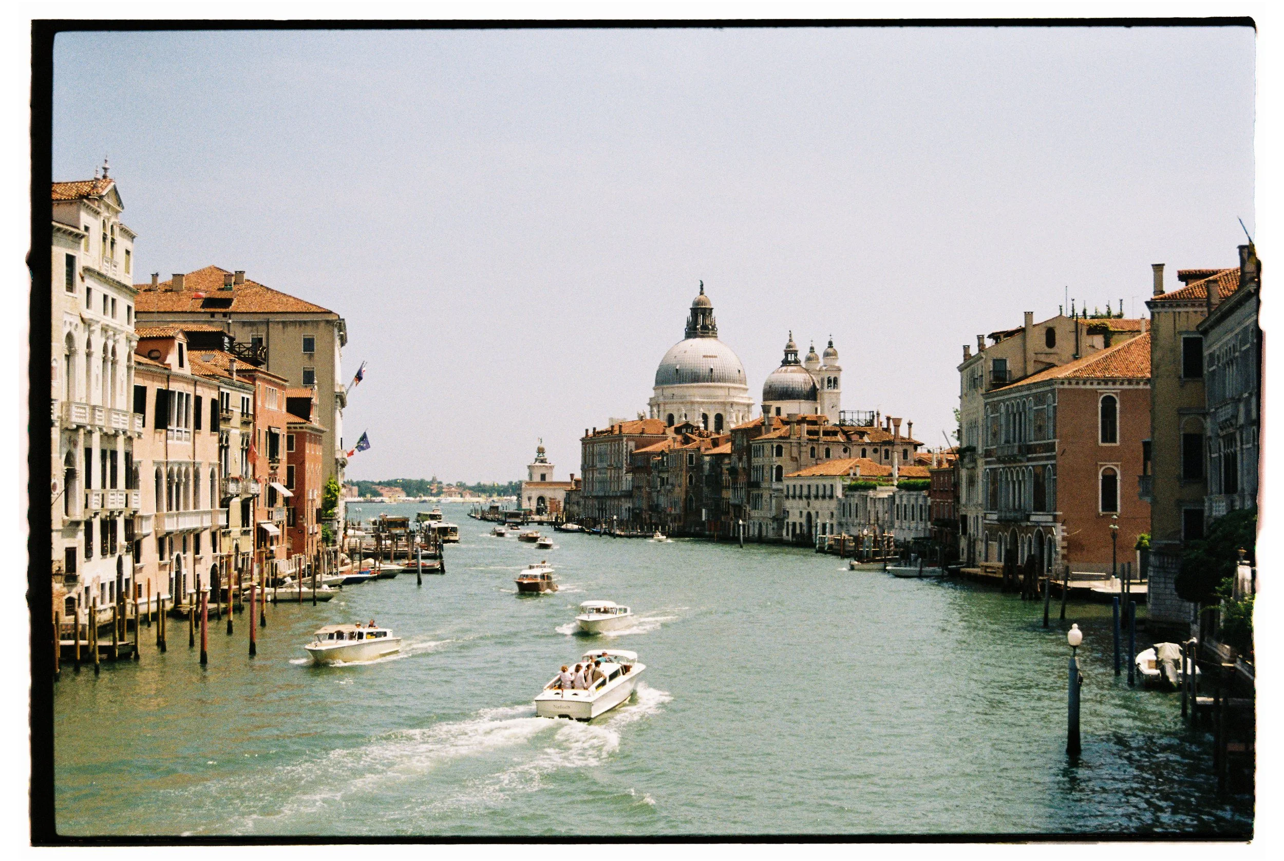 Venice 2024 - Gold 7.jpg