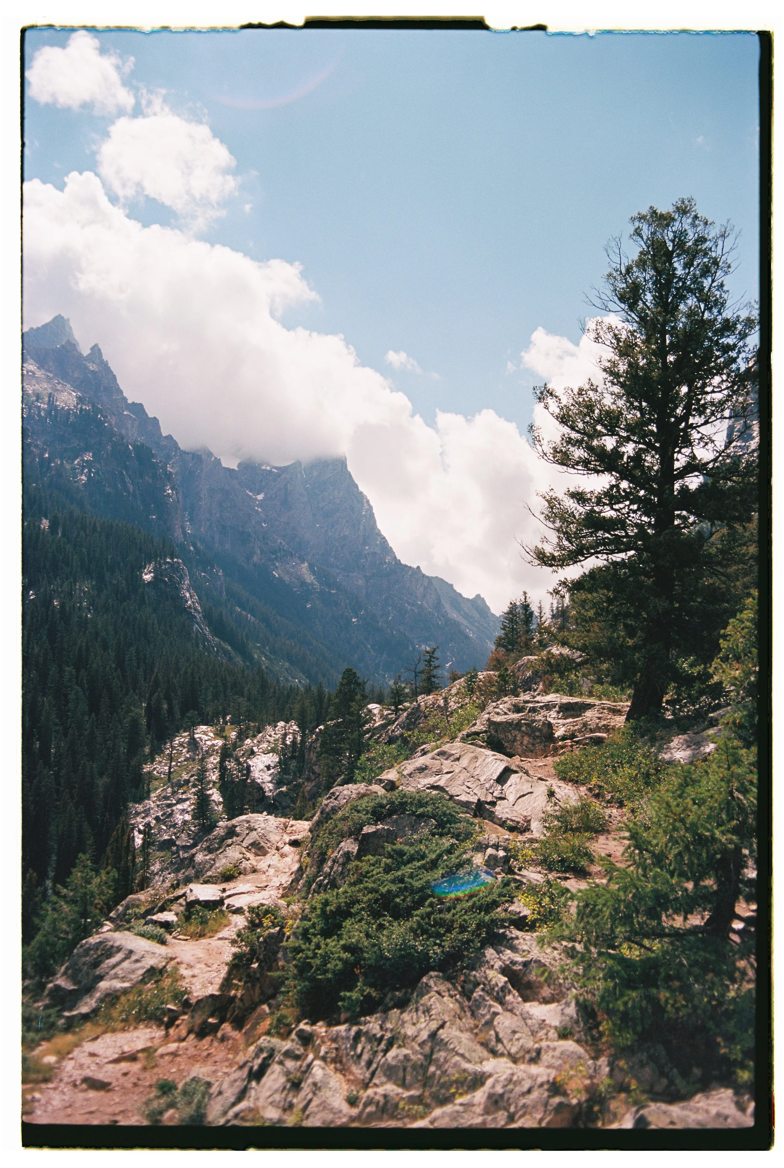 Utah + Wyoming 2023 - Ektar 10039.jpg