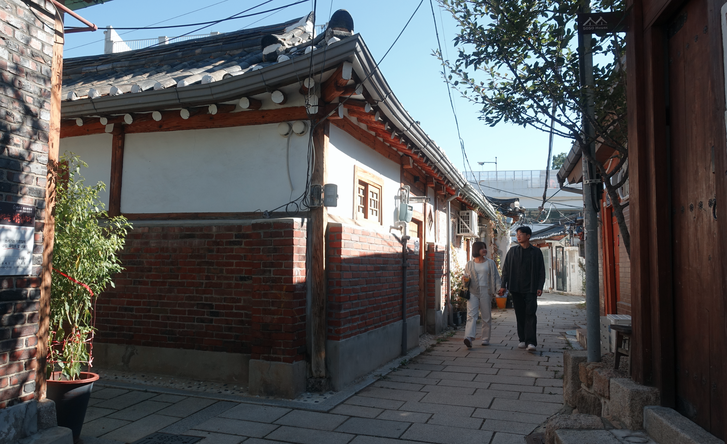 DSC05715.png