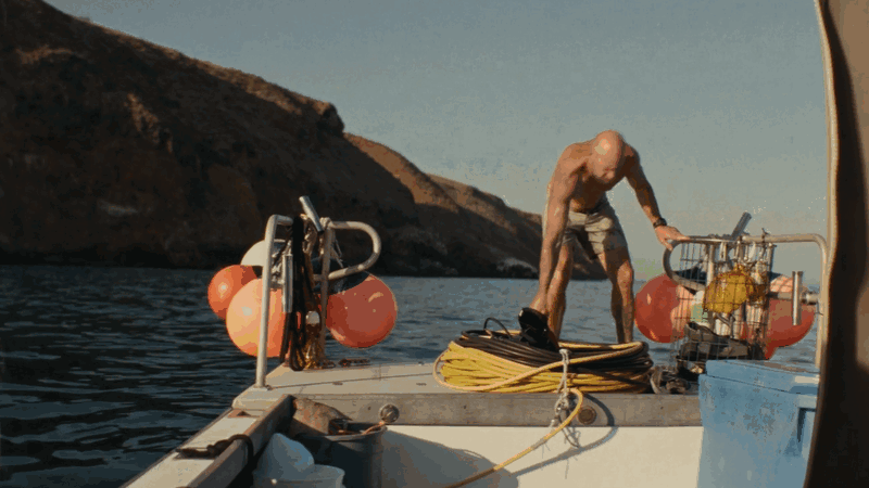 urchinI-gif-website-2026.gif