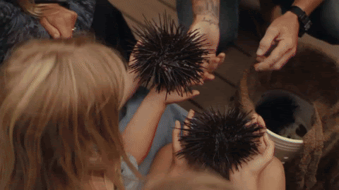 unnamed-3.gif