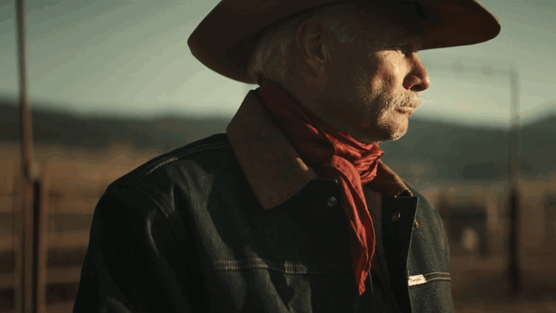2wrangler-gif-website-2026.gif