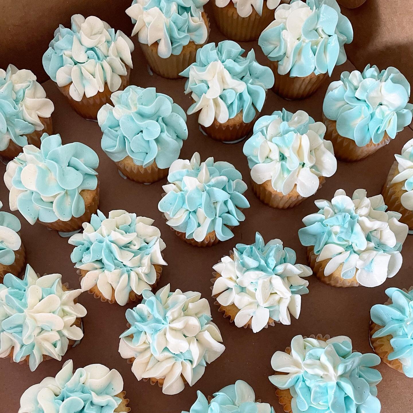 The bride wanted a garden of cupcakes 💙

#newportwedding 
#hydrangea 
#cupcakes
