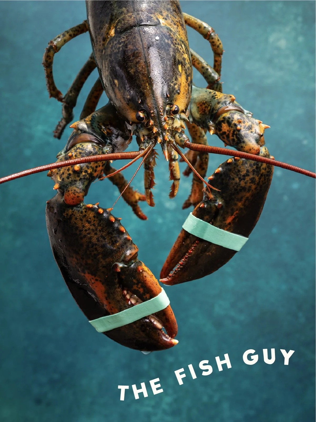 The Fish Guy Photography Style