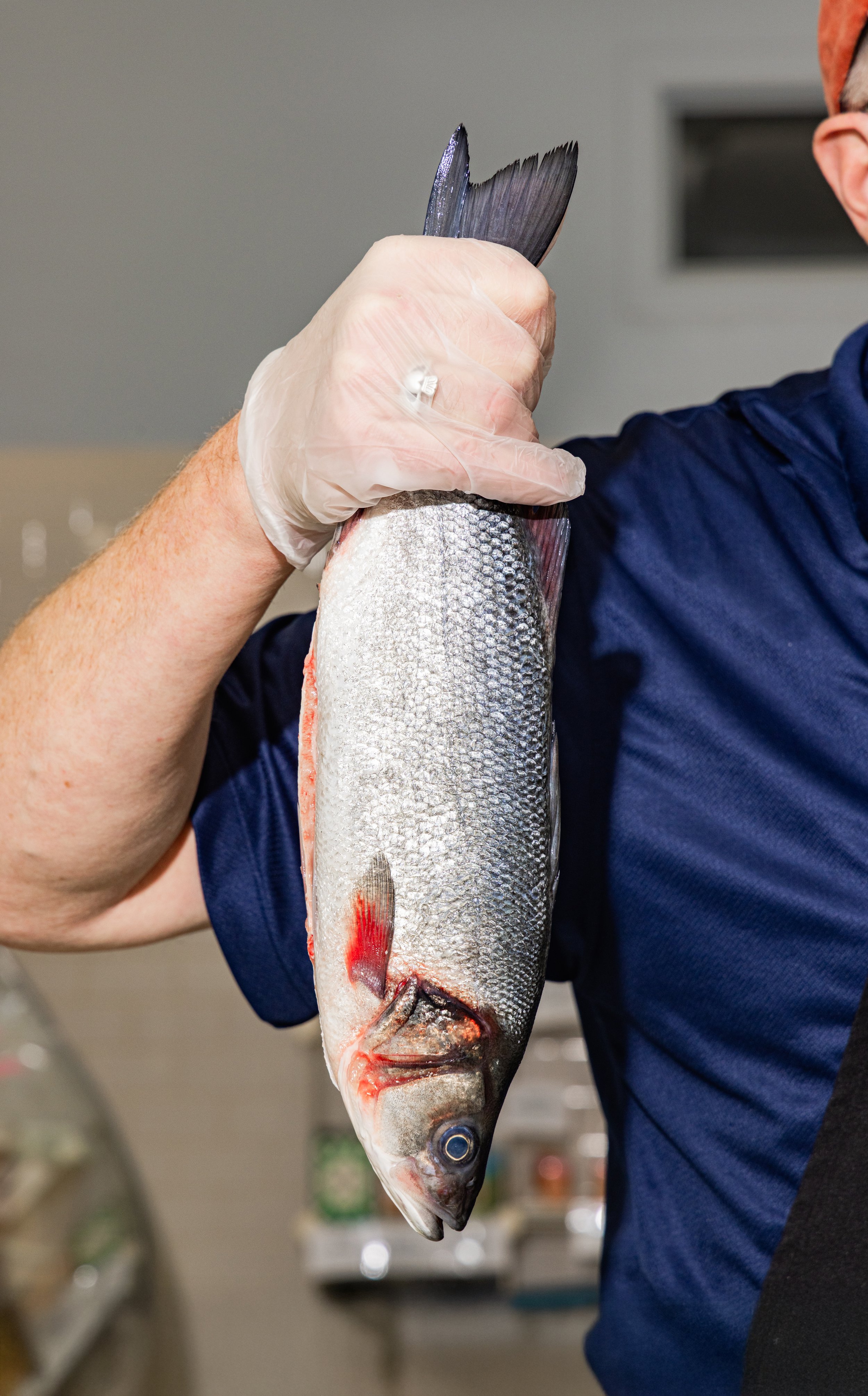 2026-01-08_The Fish Guy-Whole Fish-1027.jpg