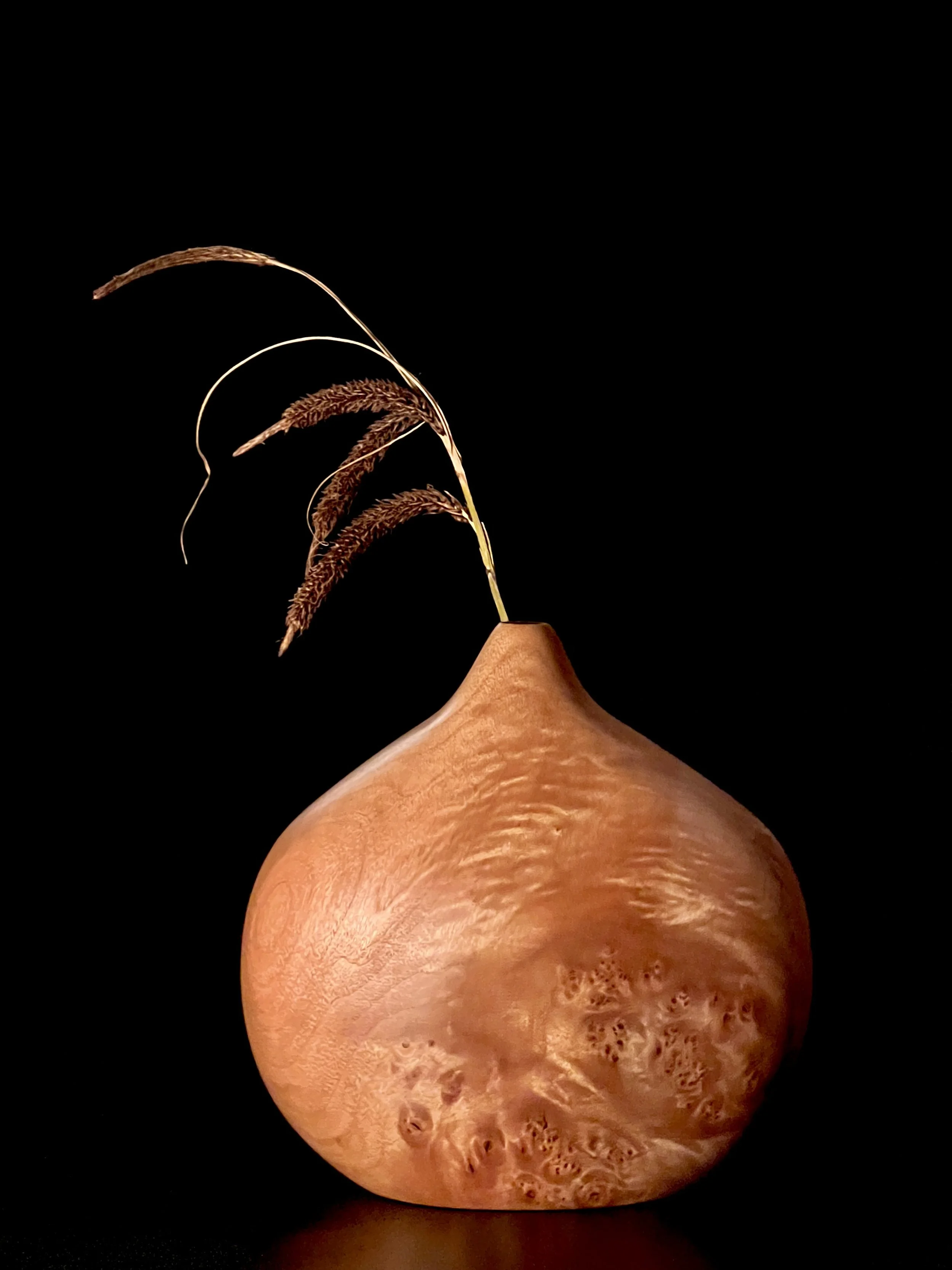 tempImageBFDiCE.jpg