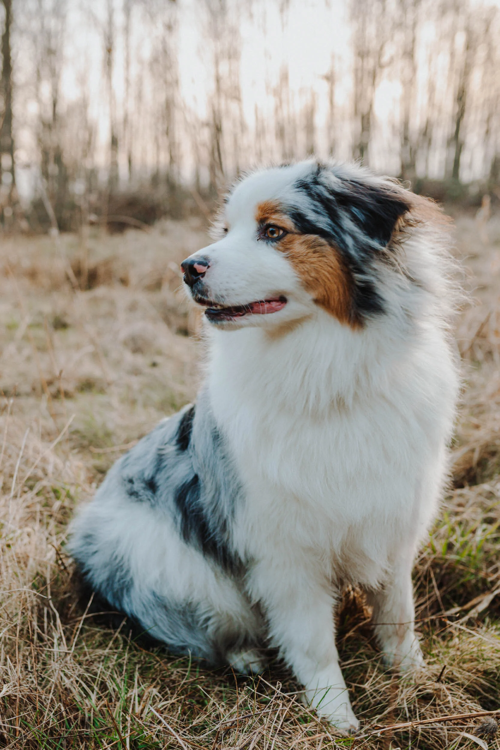 PortraitsByErin_PratapSilas-1211.jpg