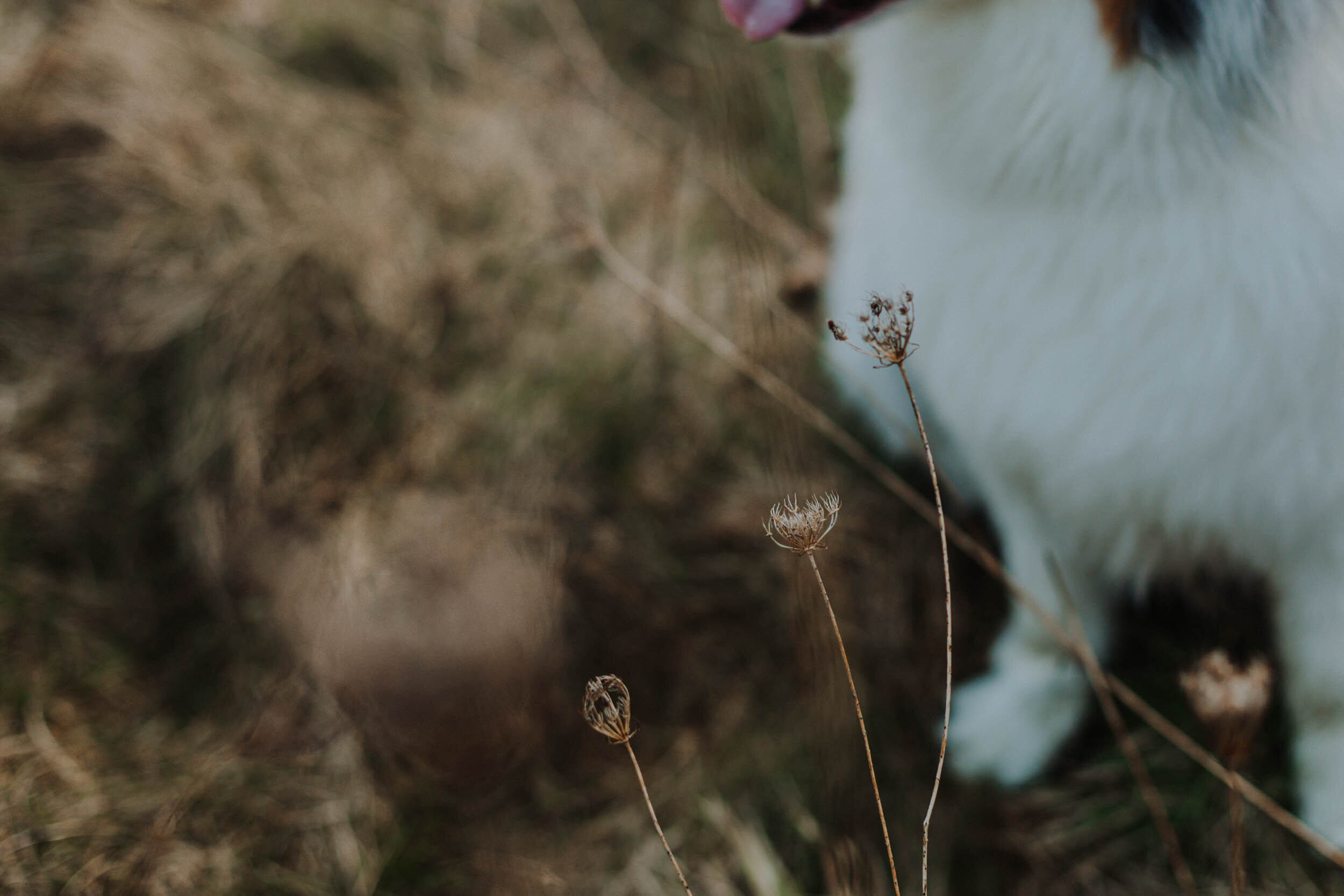 PortraitsByErin_PratapSilas-1356.jpg