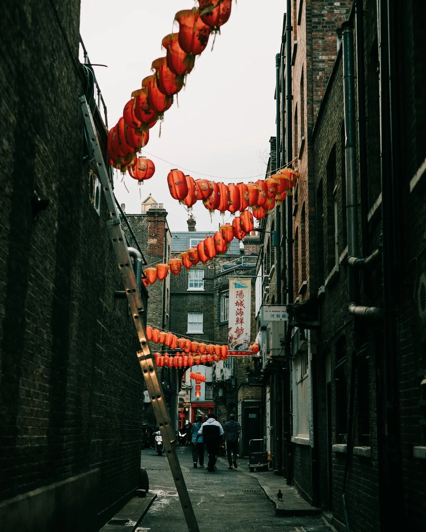 China Town 🇬🇧
&bull;
&bull;
&bull;
&bull;
#photography #photographer #editing #opticalwander #travel #travelphotography #london #chinatown #streetphotography #urban #urbanphotography
