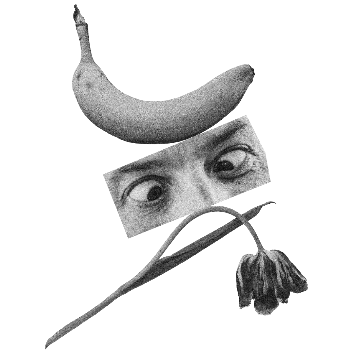 A crossed-eyed expression balanced between a banana and a tulip.