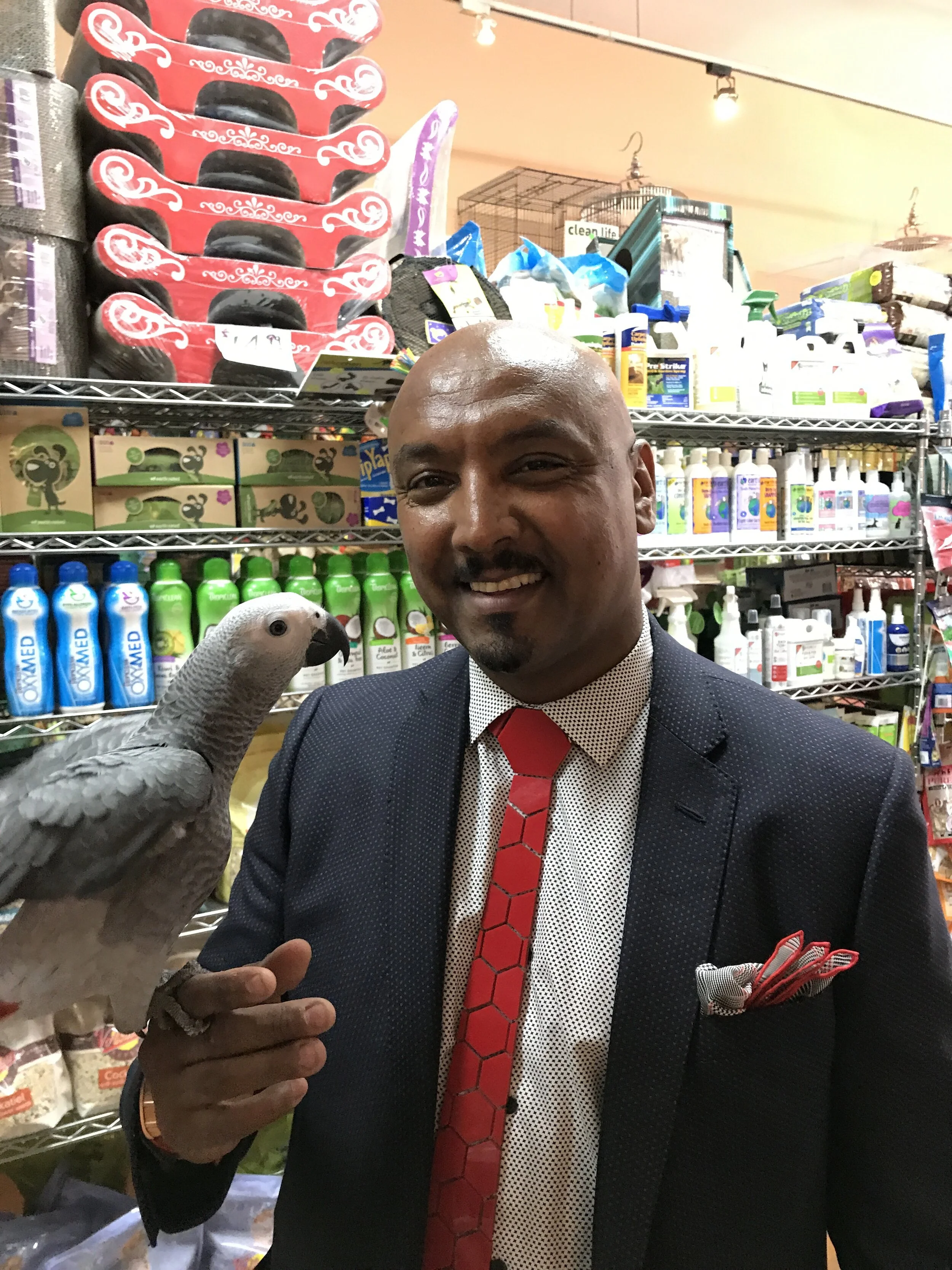 Gallery — The Animal Company