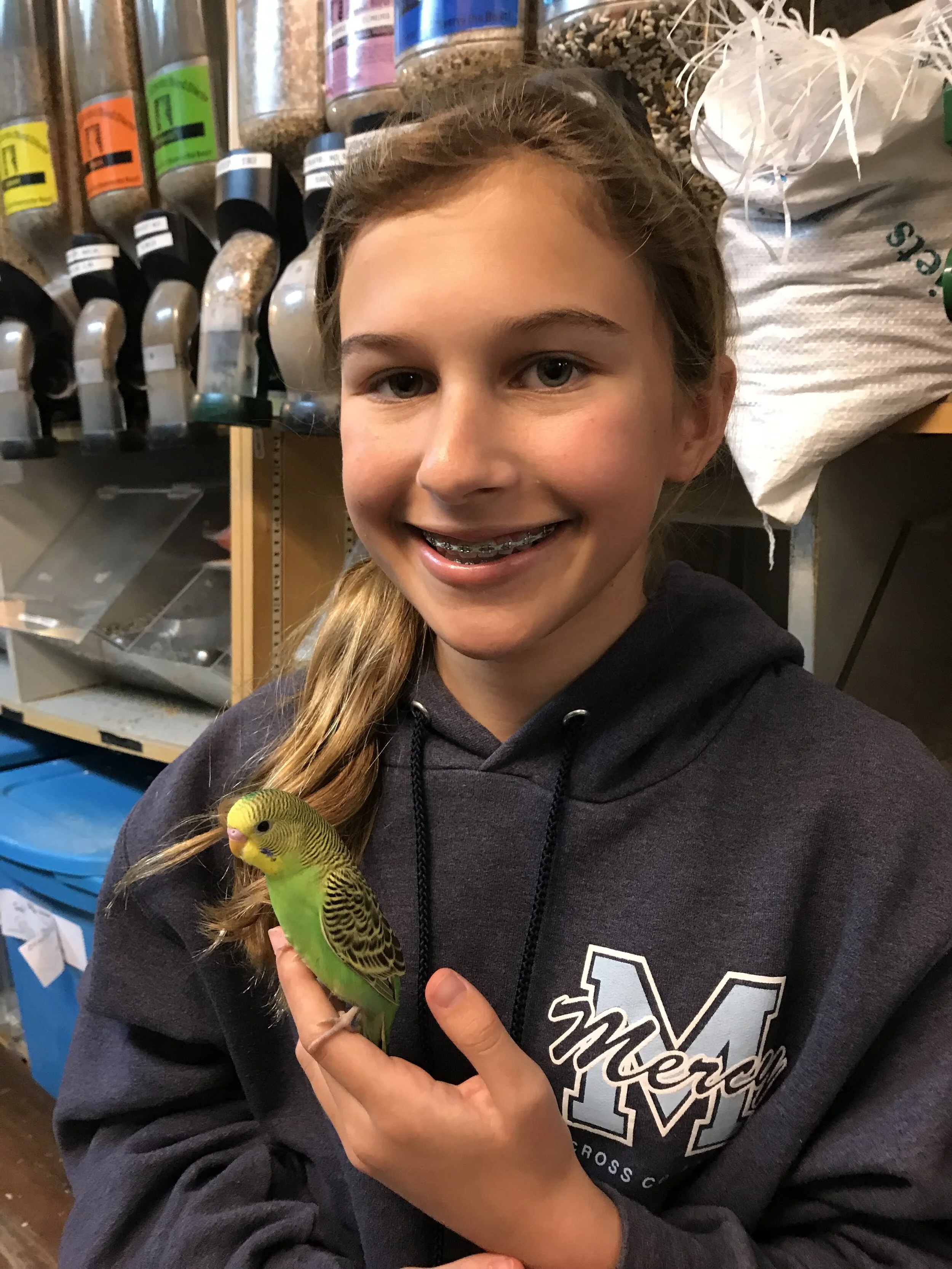 Gallery — The Animal Company