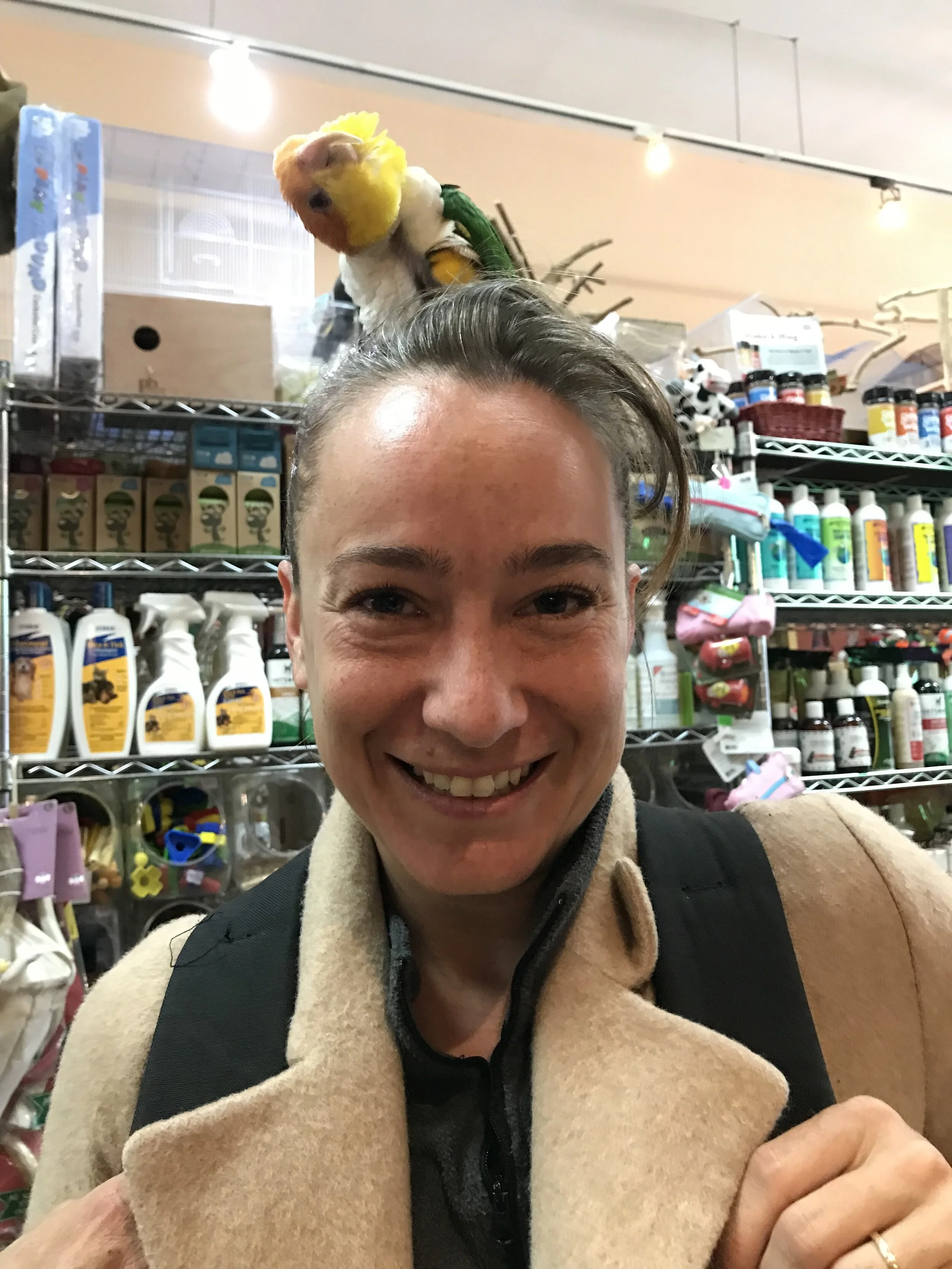 Gallery — The Animal Company