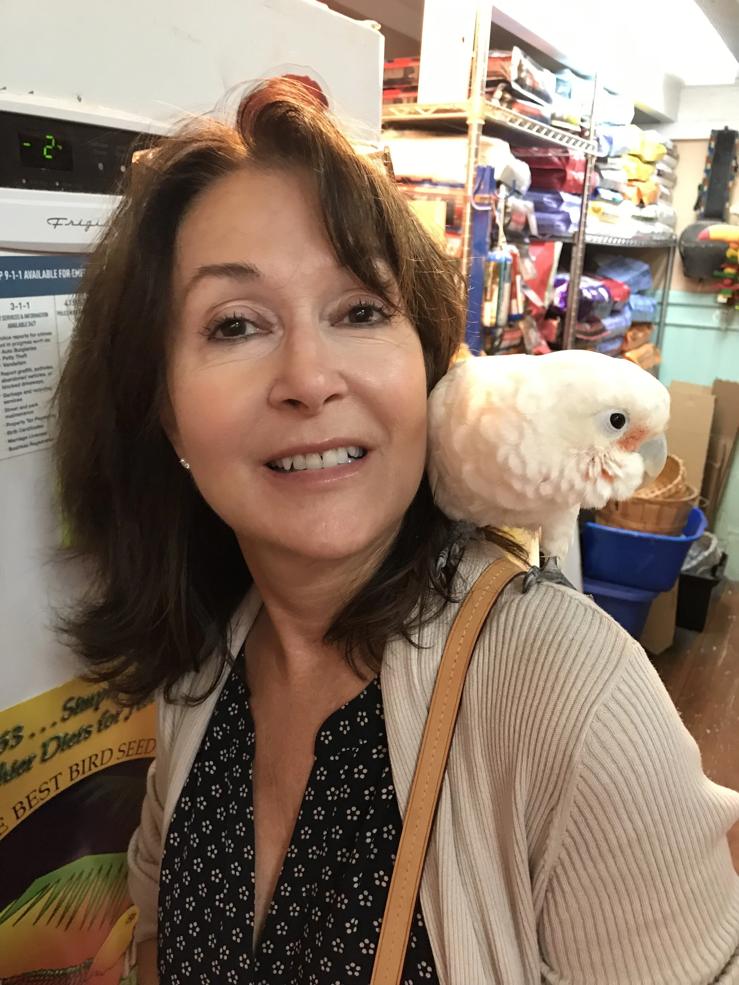 Gallery — The Animal Company