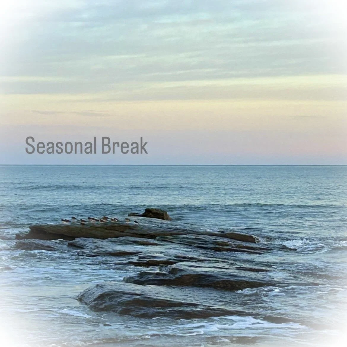 Seasonal Break