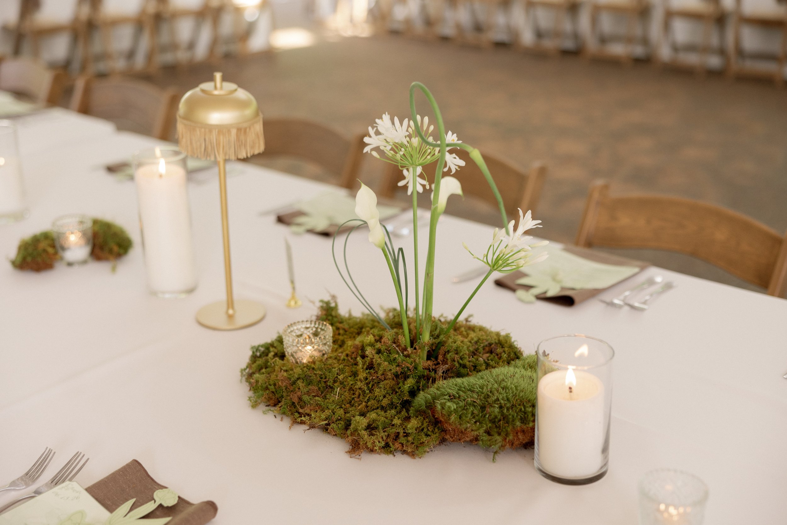 wedding-8199.jpg