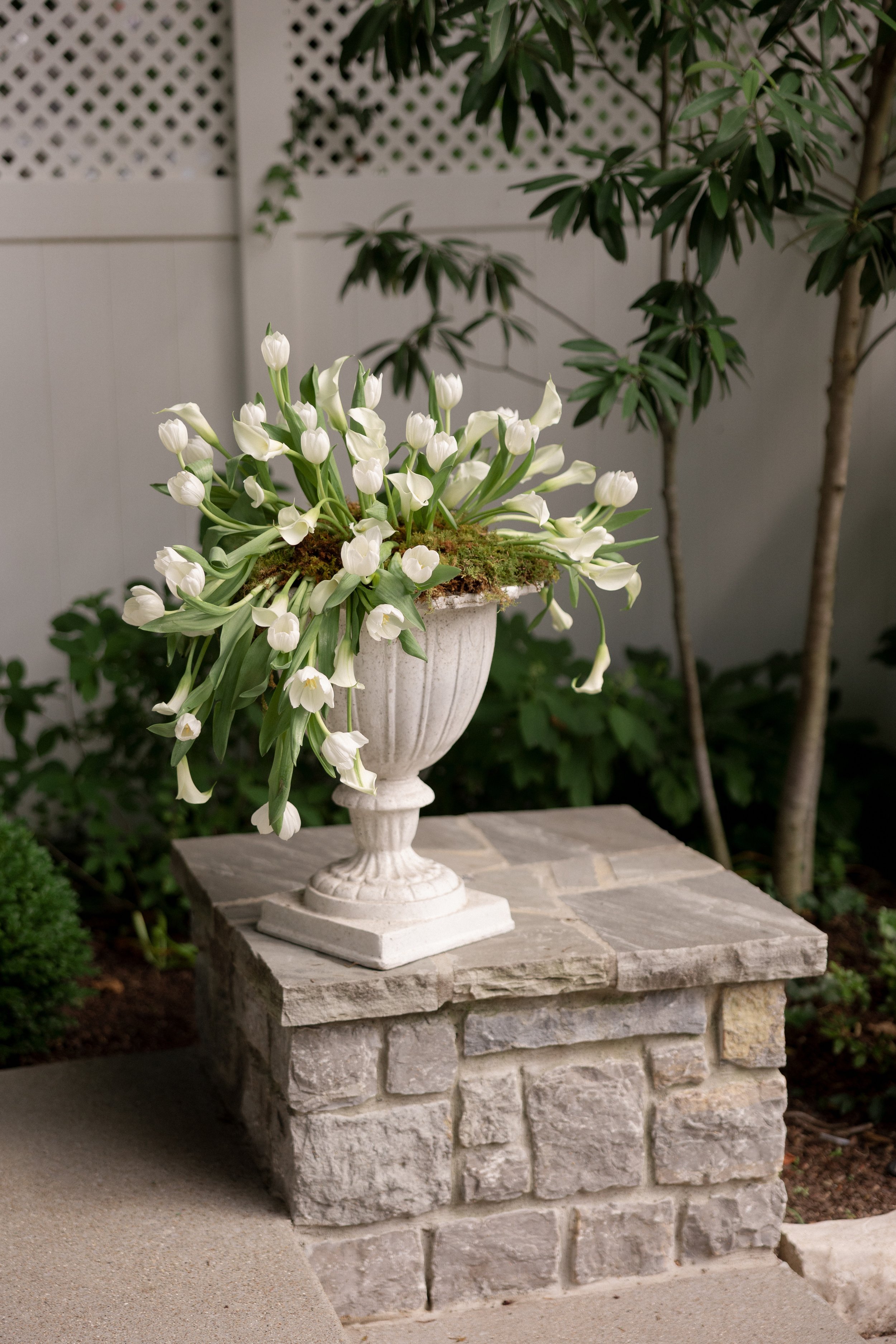 wedding-8243.jpg