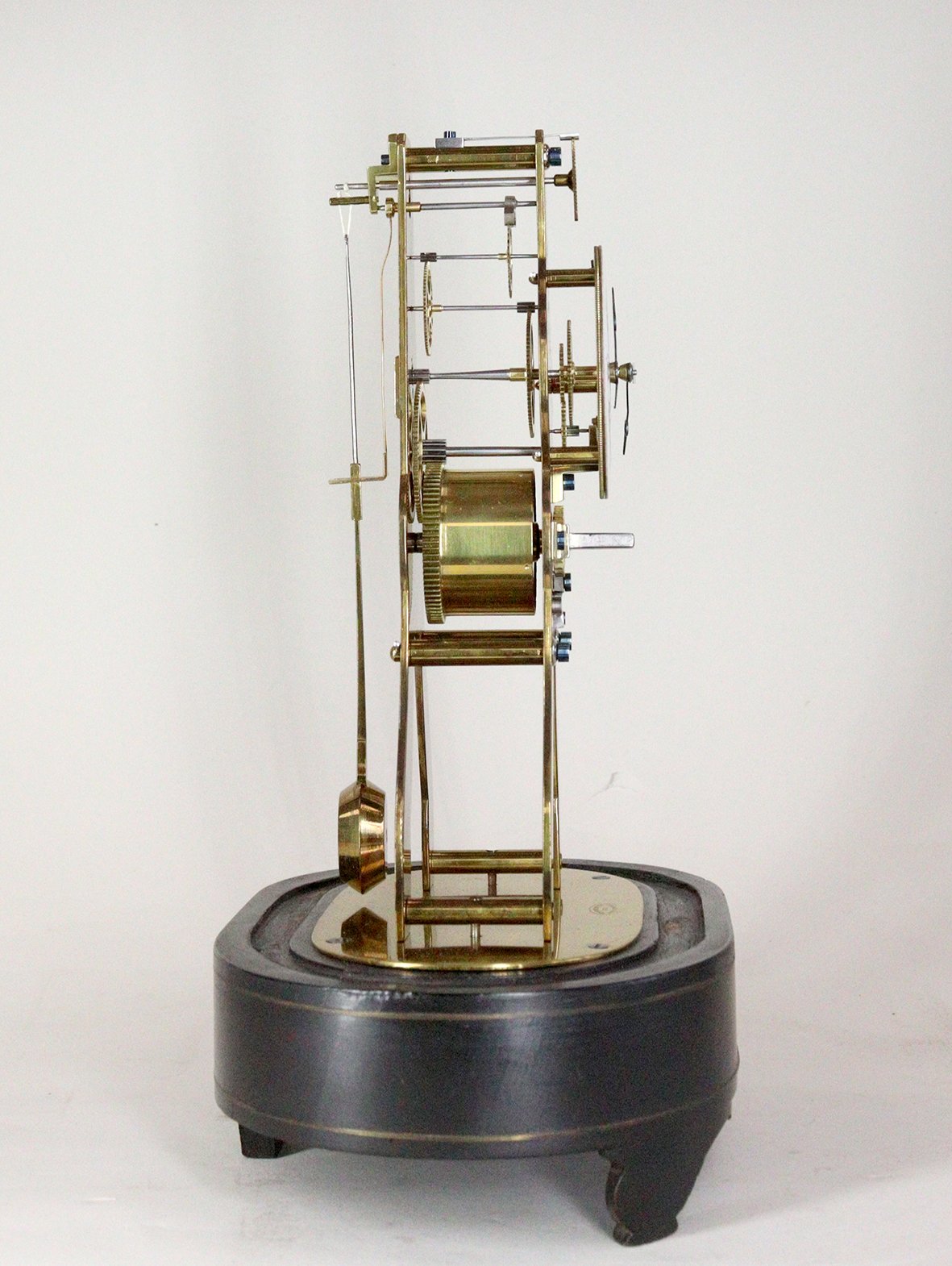 310 VAP Skeleton 7.jpg