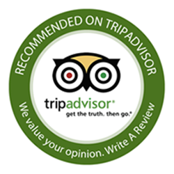 trip advisor logo