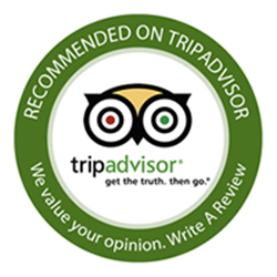 trip advisor logo
