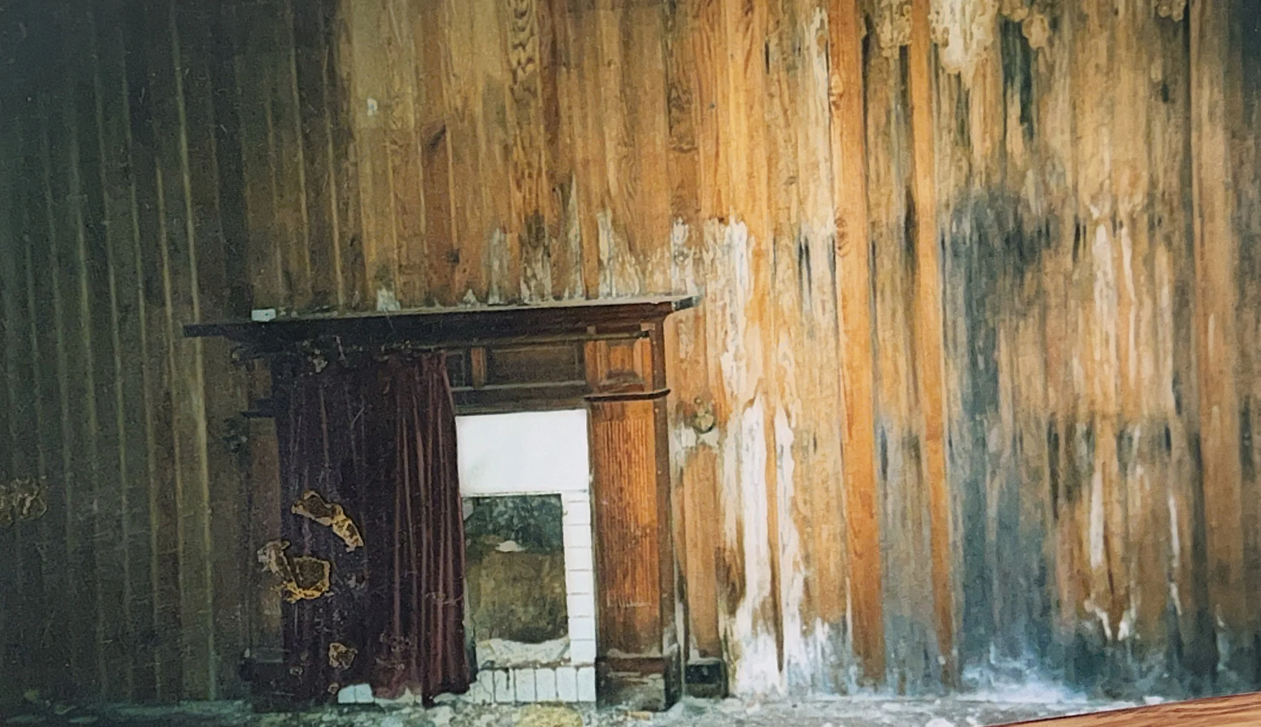mouldy wood panelling
