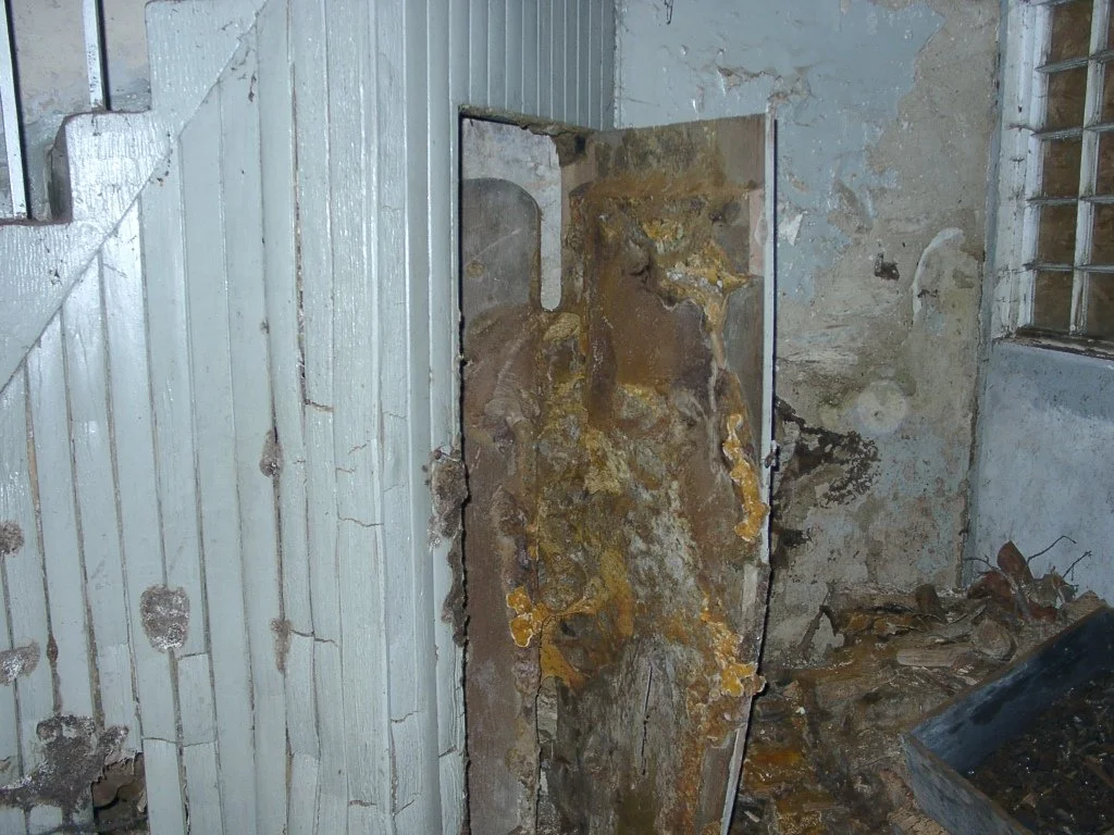 wet and dry rot on door