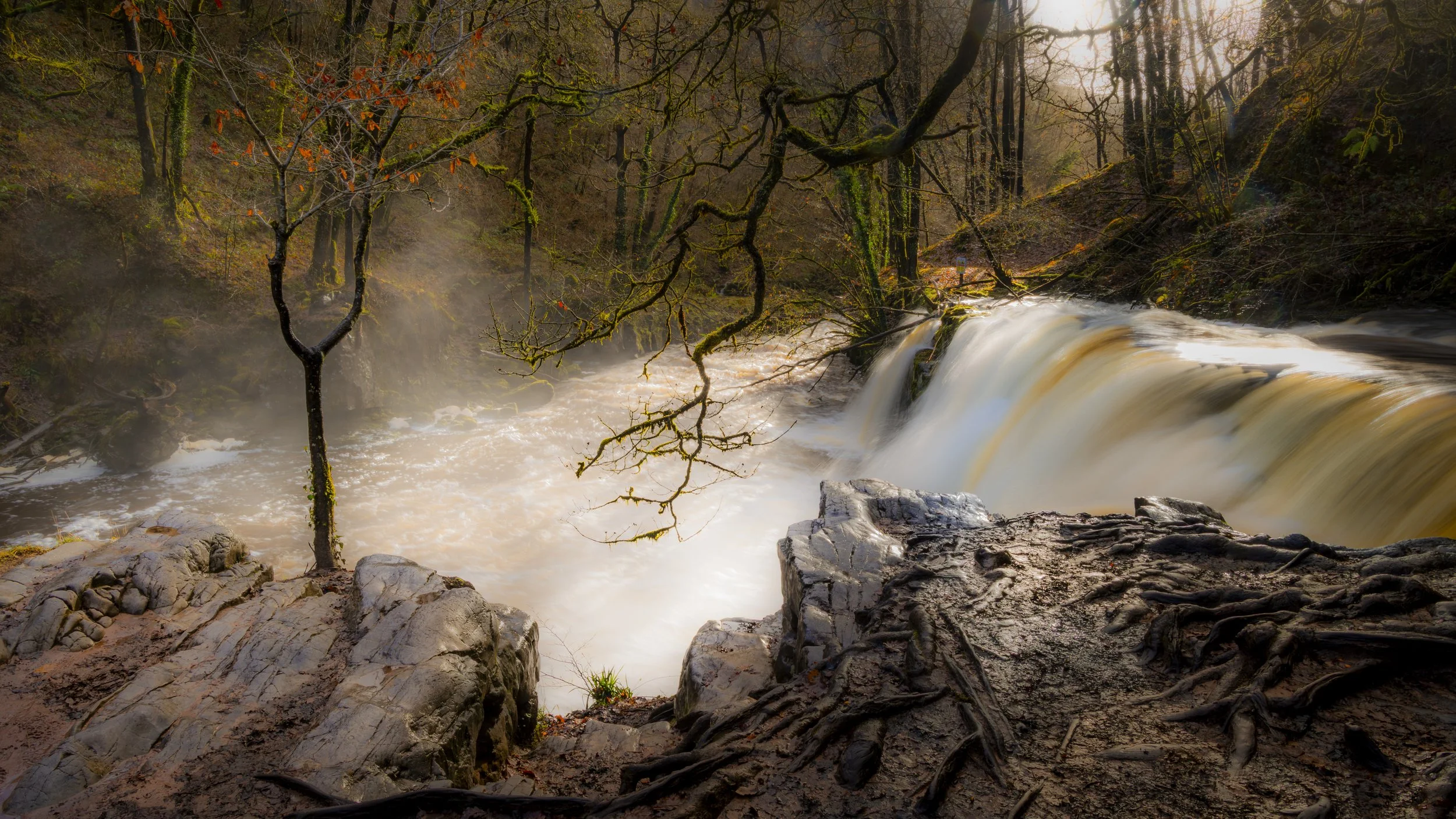 Glastonbury moon 2-4730.jpg