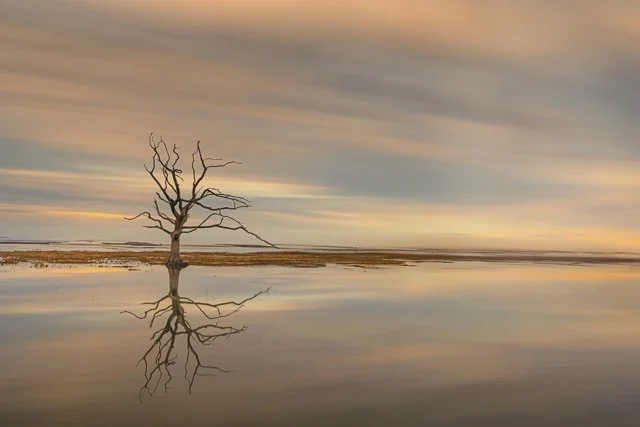 Glastonbury moon 2-1600.jpg