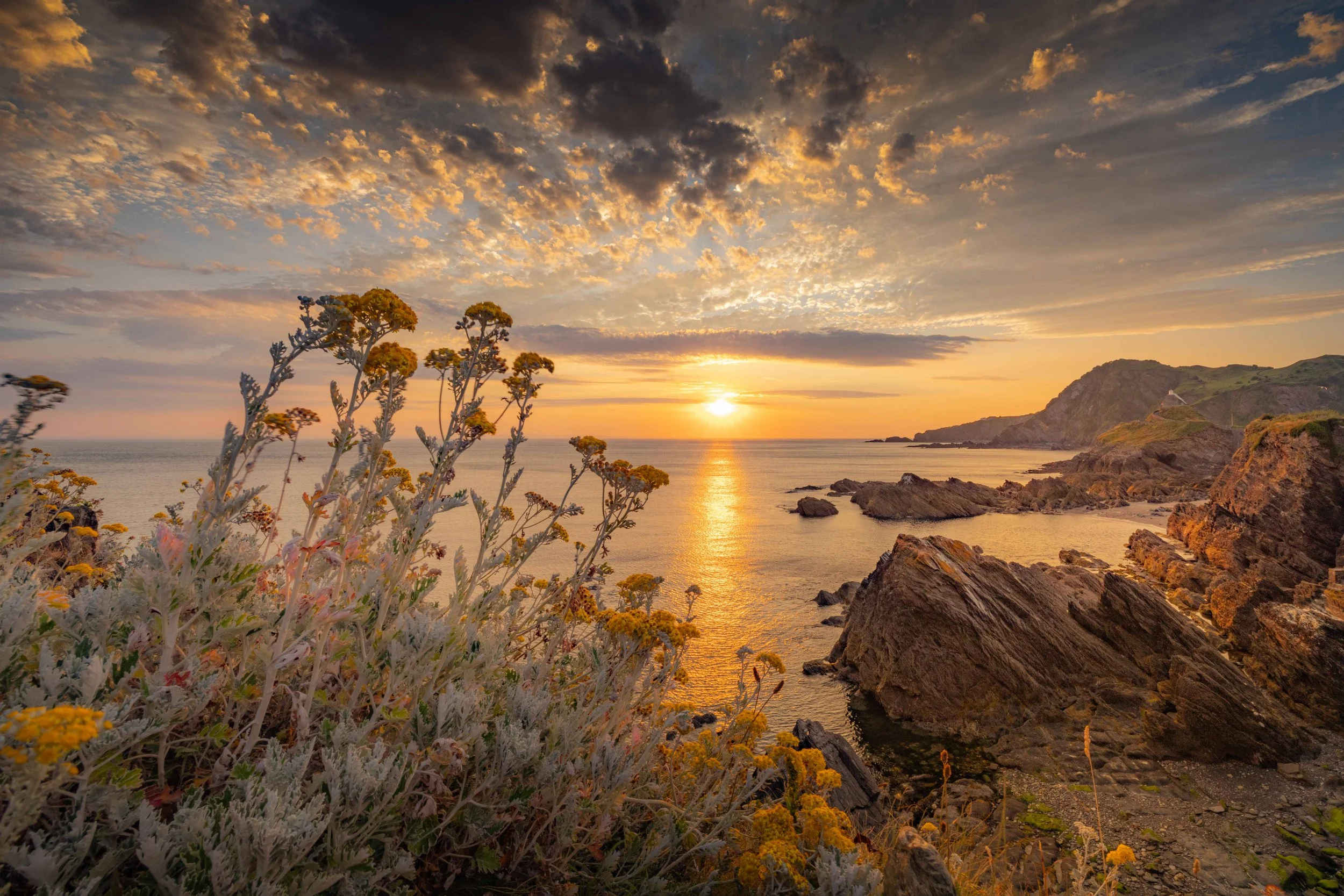 sunrise2.jpg