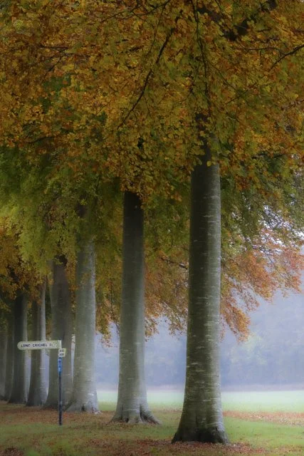 Glastonbury moon 2-003.jpg