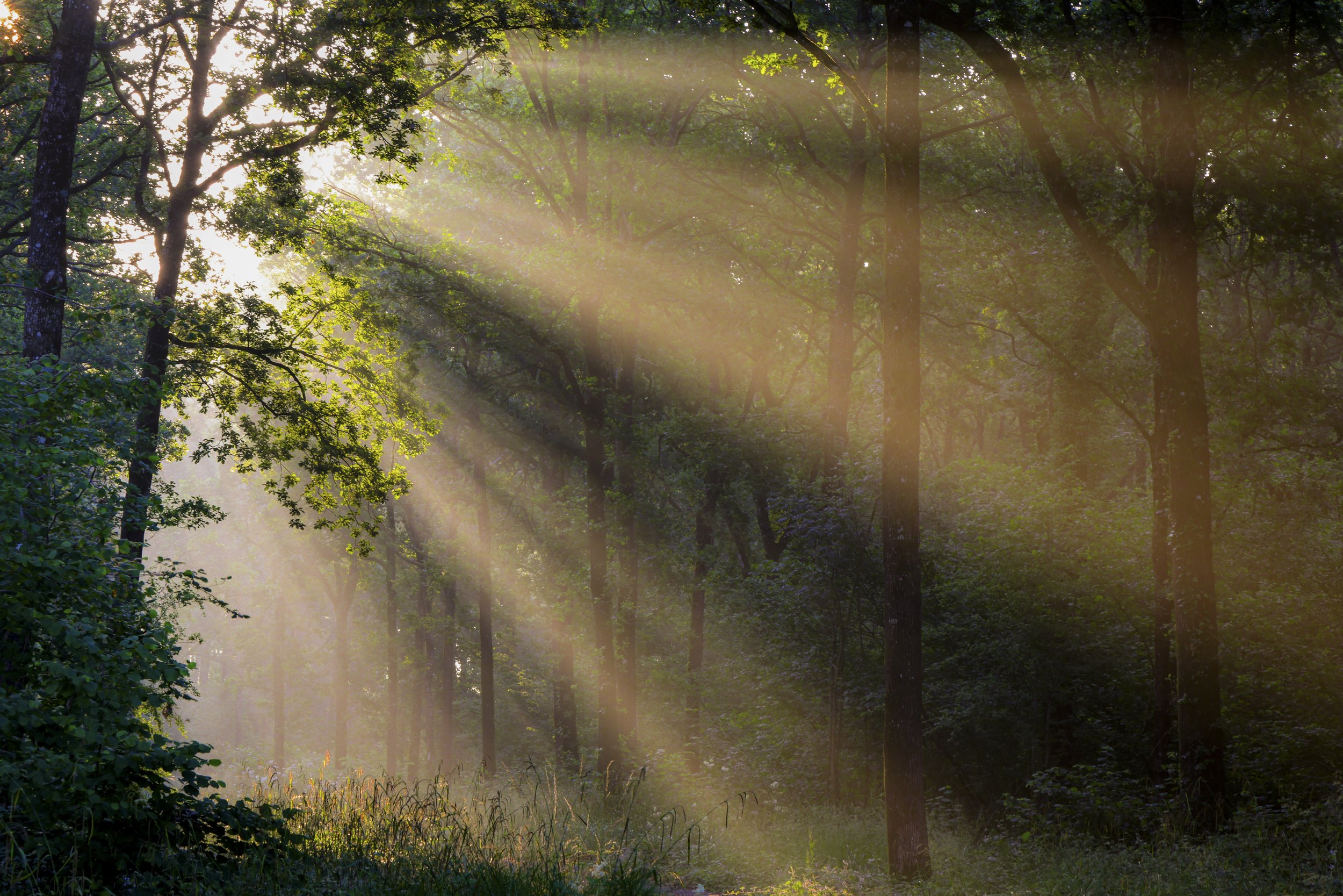 Glastonbury moon 2-4034.jpg