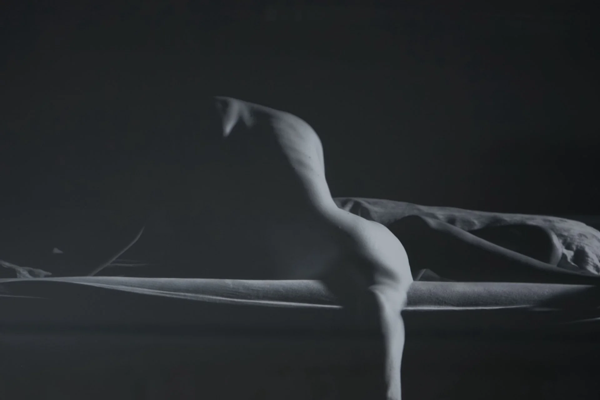 C-Print Nachblende I and Nachtblende II by Freya Hattenberger 9645.JPG