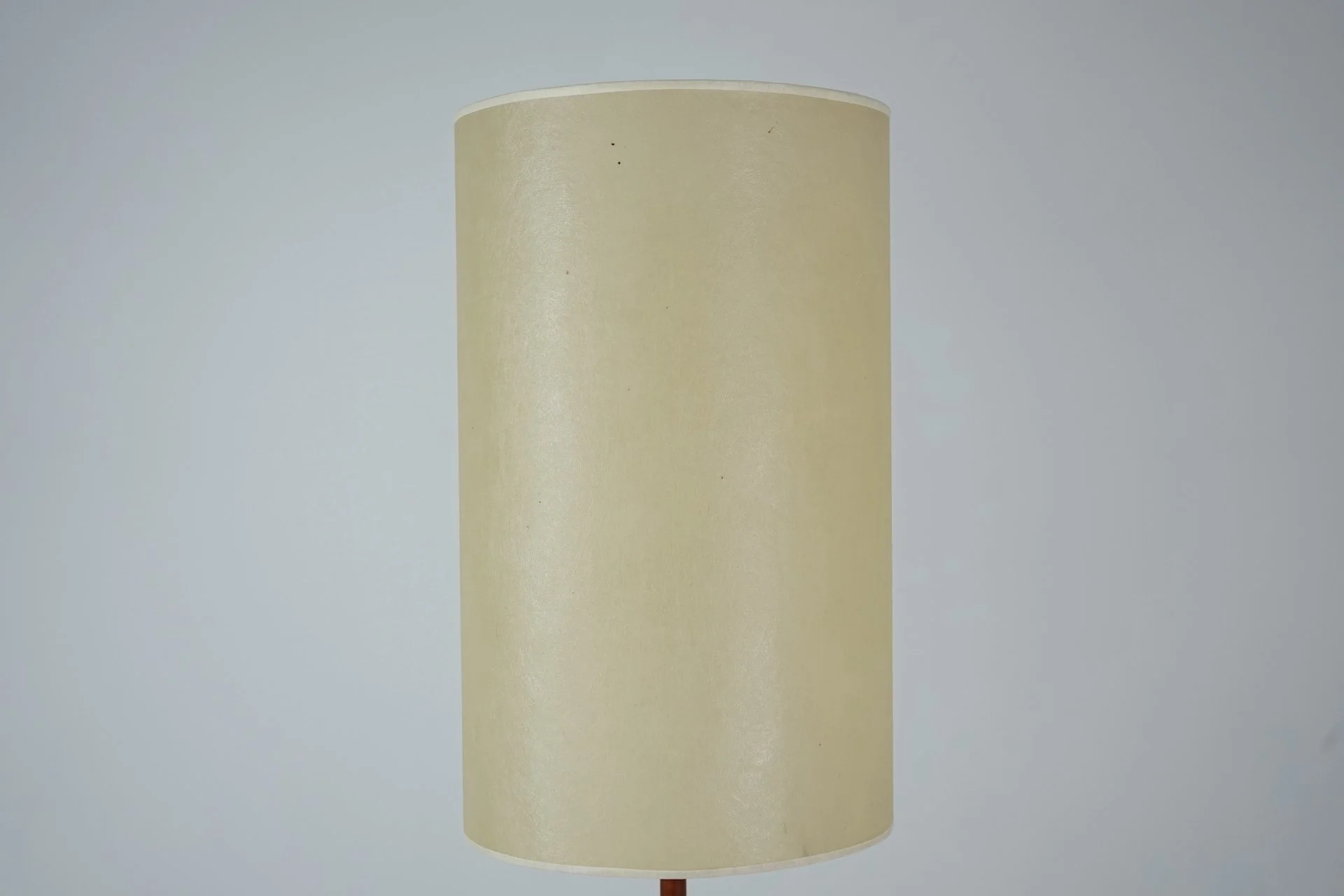 Mid-Century Modern Teak Floor Lamp with Fiberglass Lampshade, 1960s  394.JPG