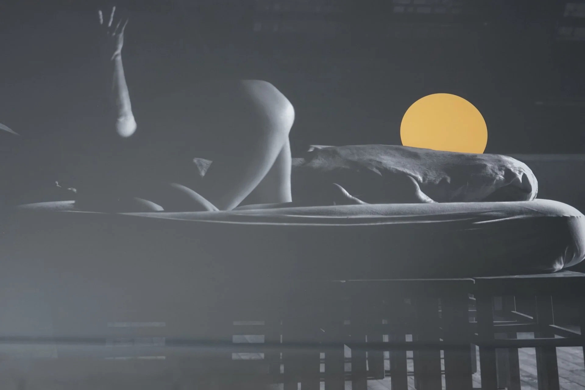 C-Print Nachblende I and Nachtblende II by Freya Hattenberger 9641.JPG