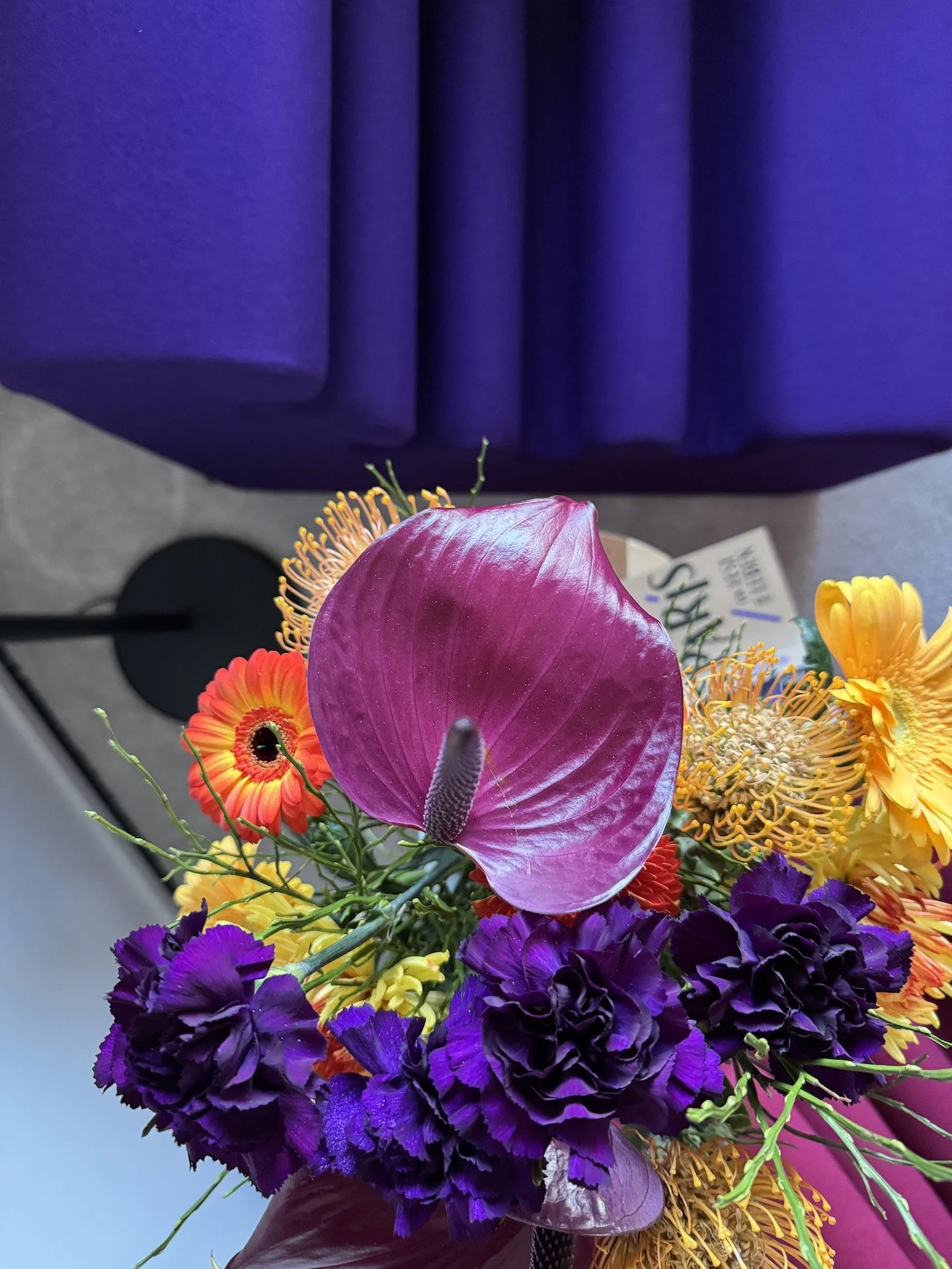 Zanotta Sessel Lila.JPEG