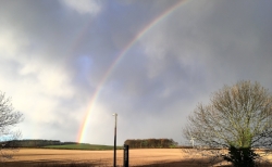 Rainbow.jpg
