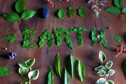 Image credit ~ Miriam Espacio