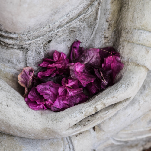 buddha with pink bourganvillia.png