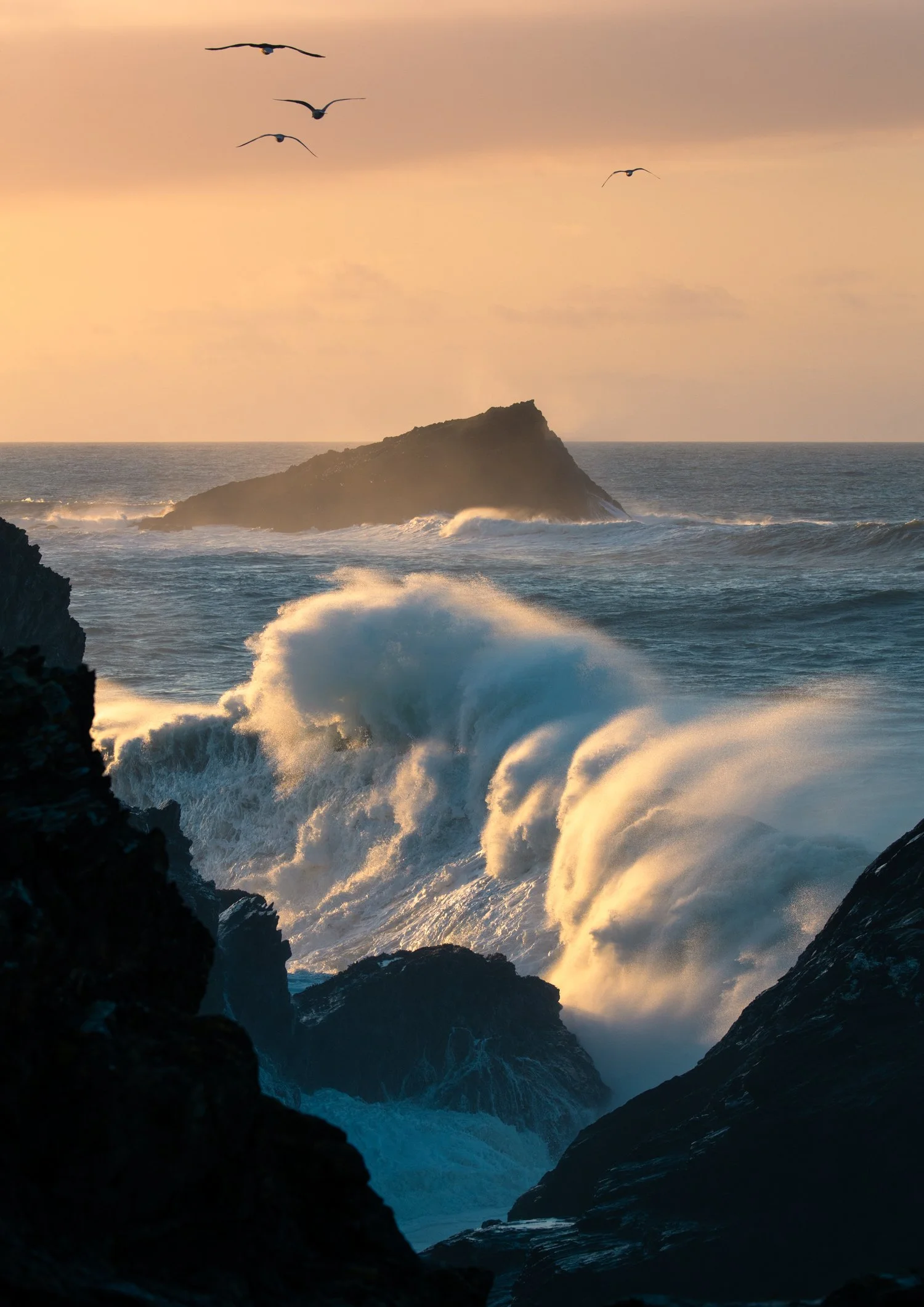Birds in the Storm, Polly Joke