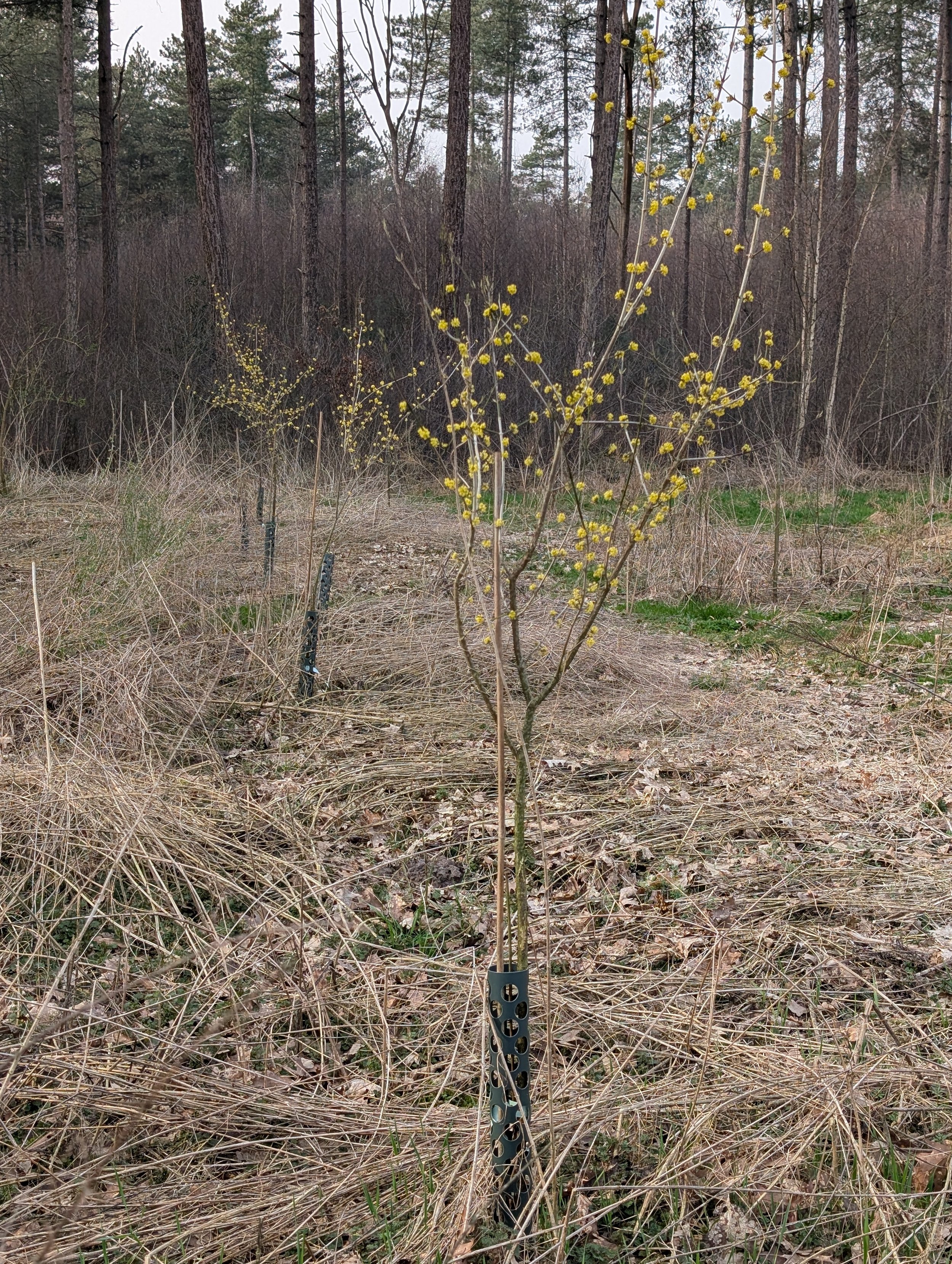 WhatsApp Image 2026-03-30 at 20.59.56 (6).jpeg