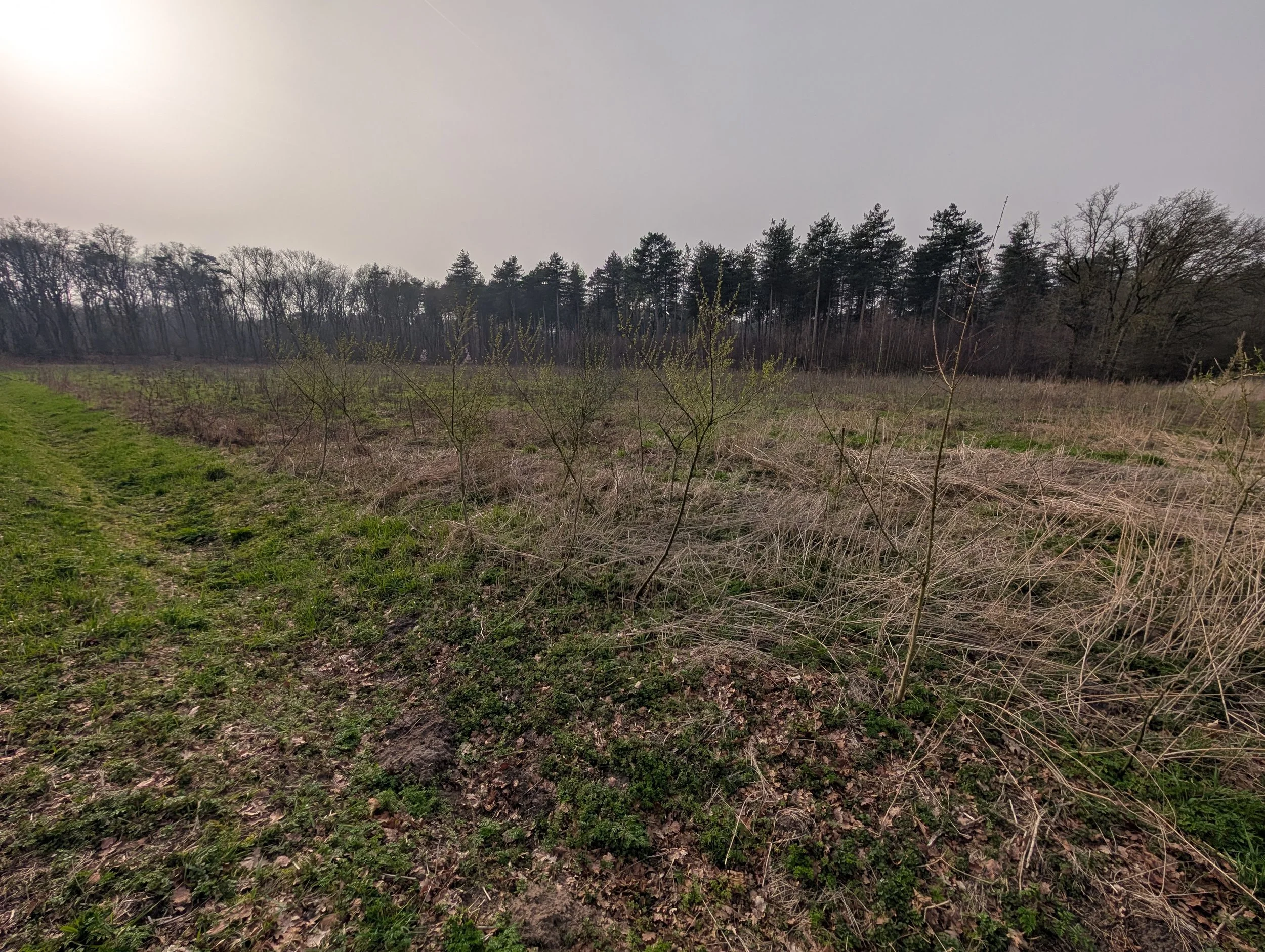 WhatsApp Image 2026-03-30 at 20.59.56 (3).jpeg