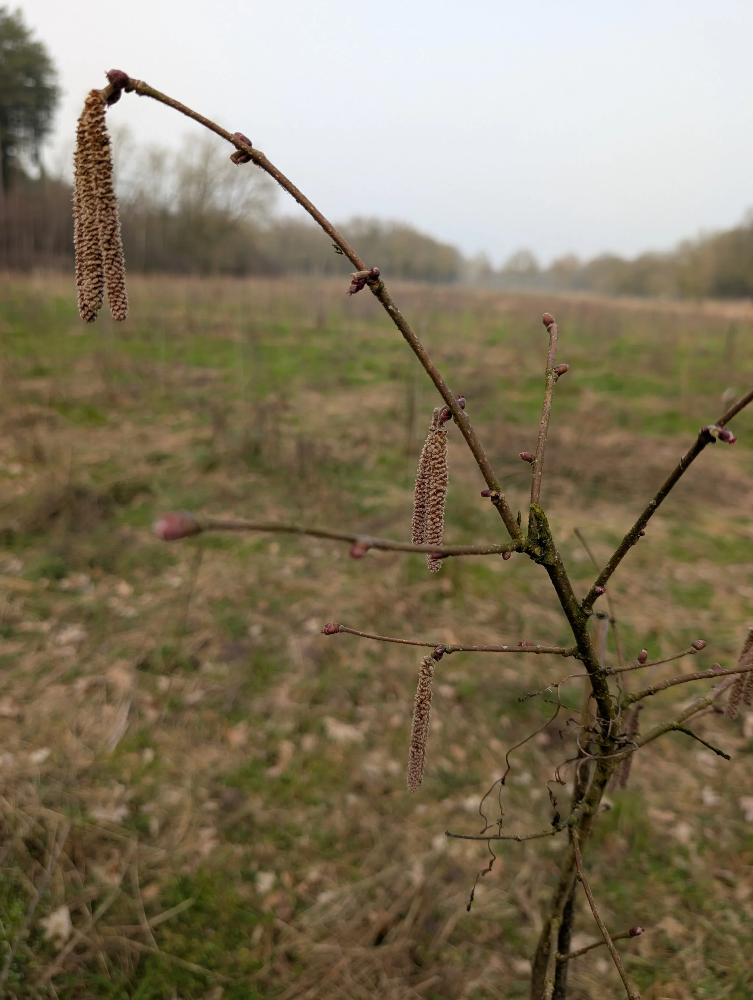 WhatsApp Image 2026-03-30 at 20.59.56 (1).jpeg