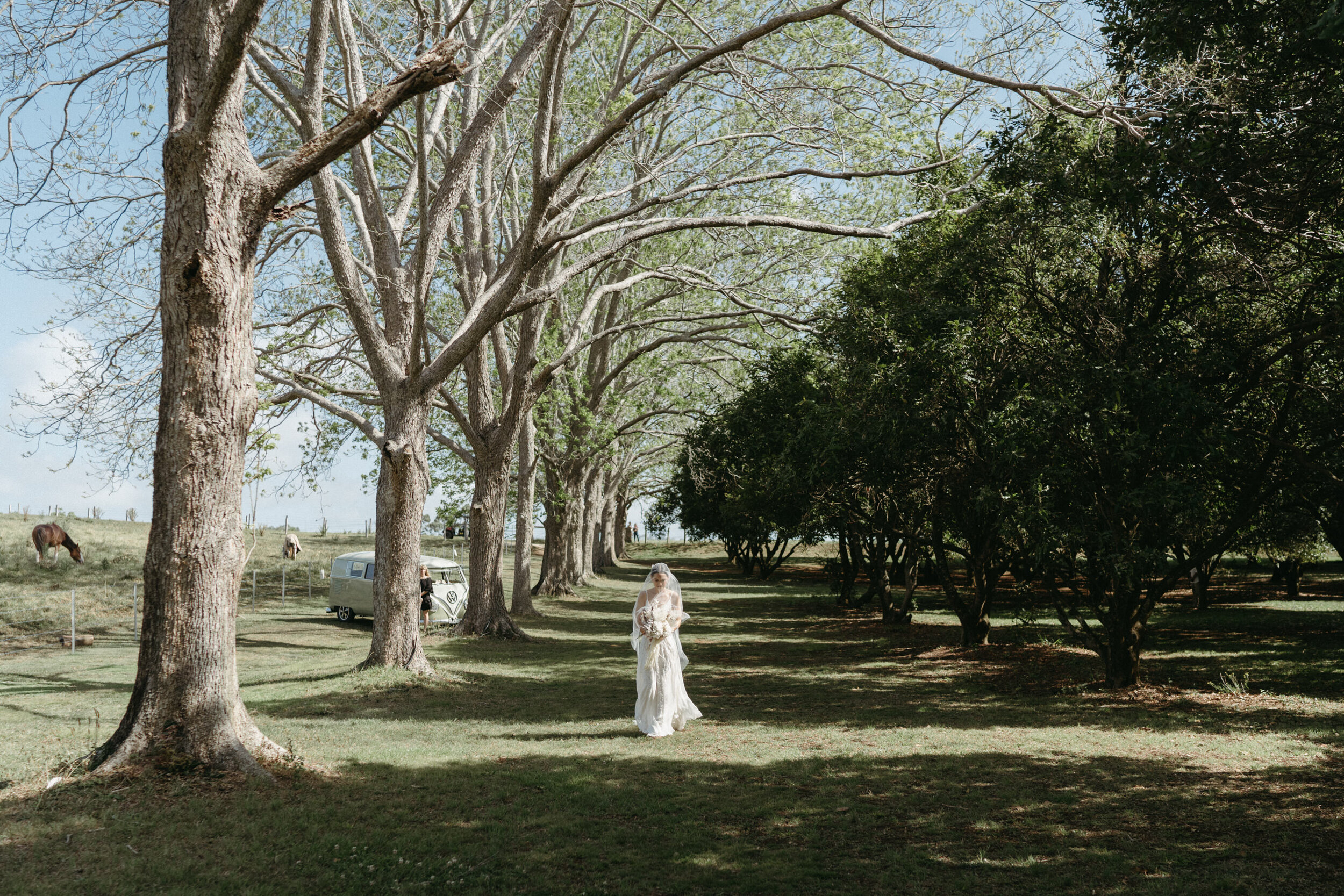 The Farm Byron Bay outdoor wedding - Trent and Jessie photography and videography