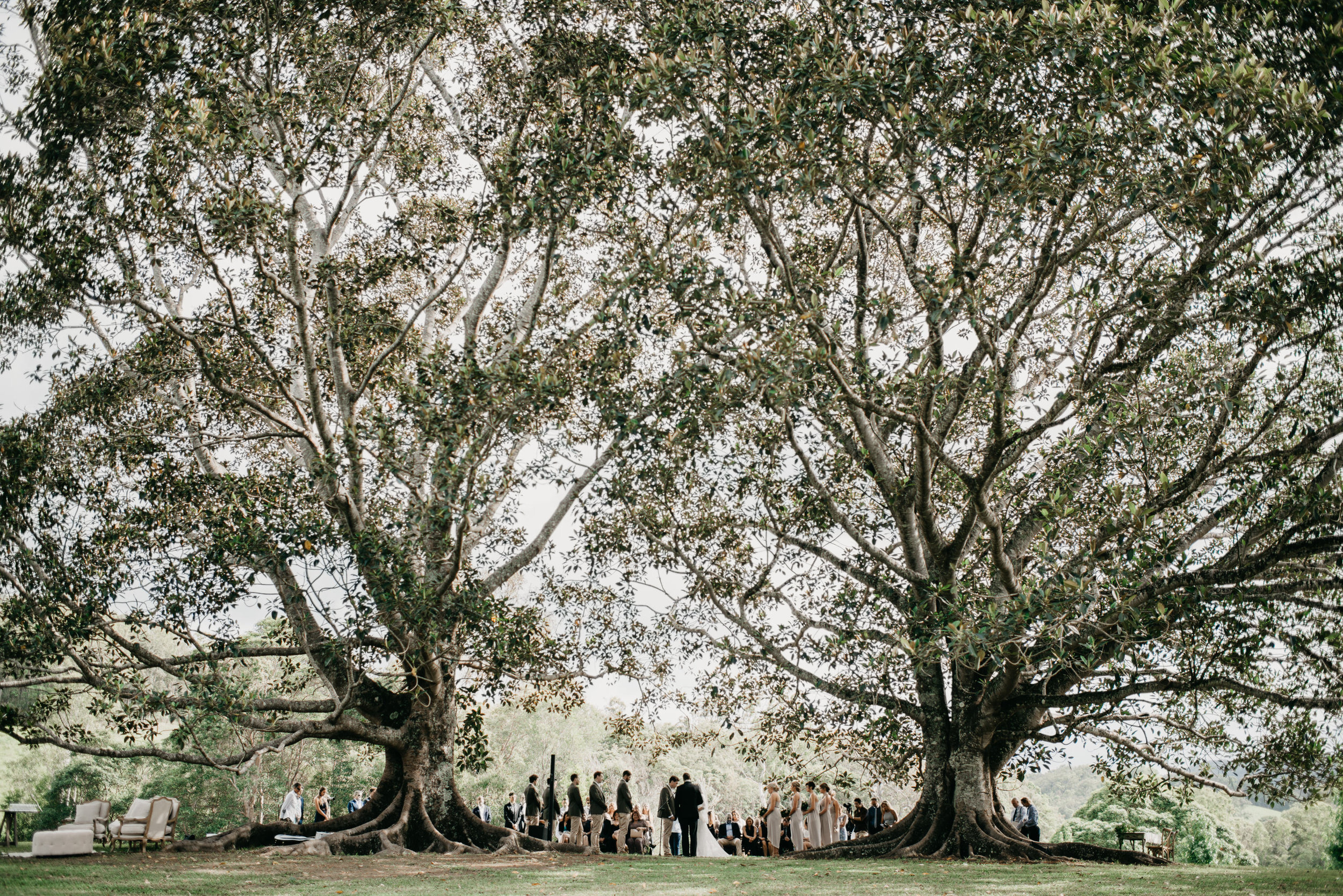 outdoor ceremony sunshine coast wedding - Trent and Jessie photography and videography 